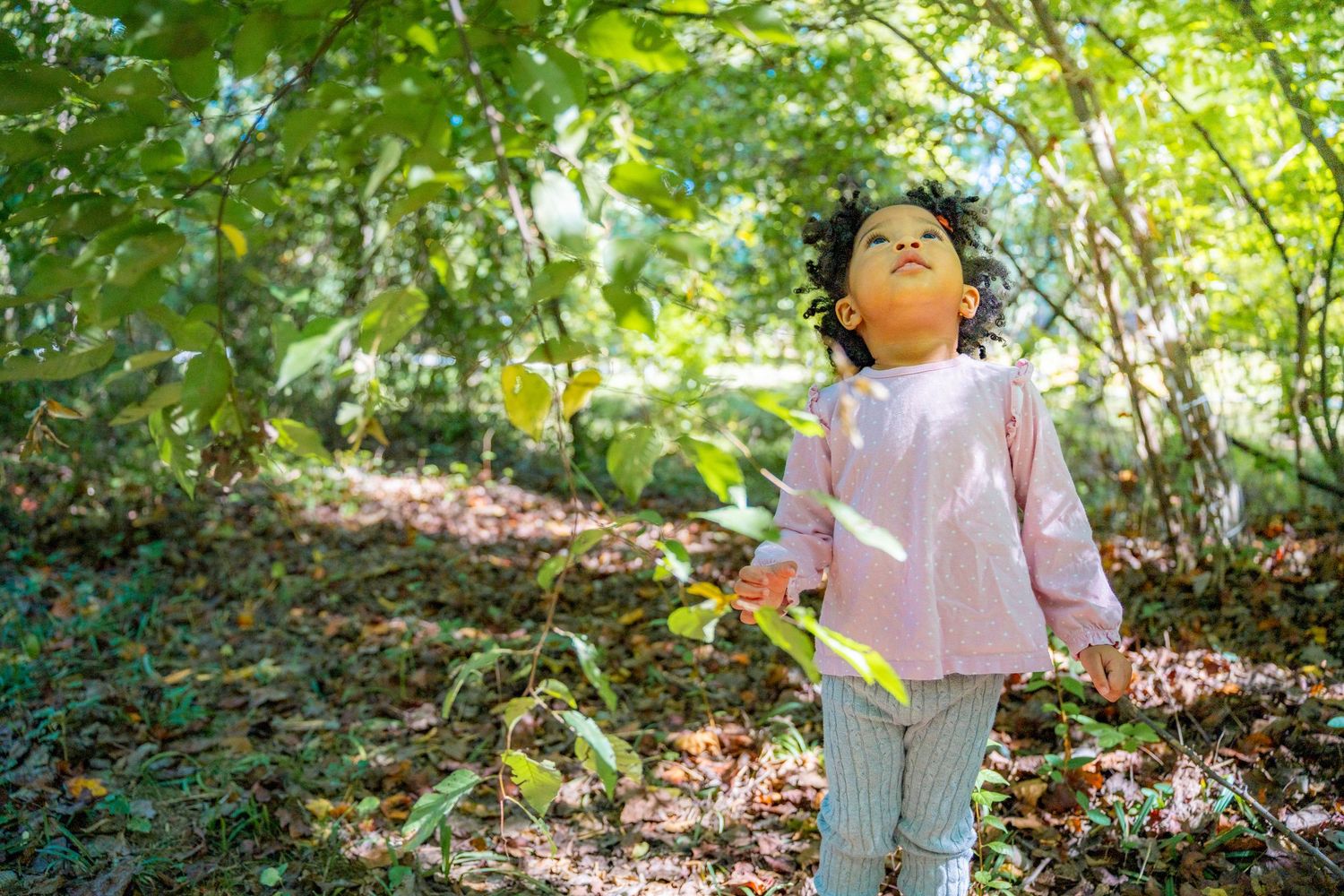 A child plays and explores in a lush green forest on a sunny day while wearing a light colored outfit.