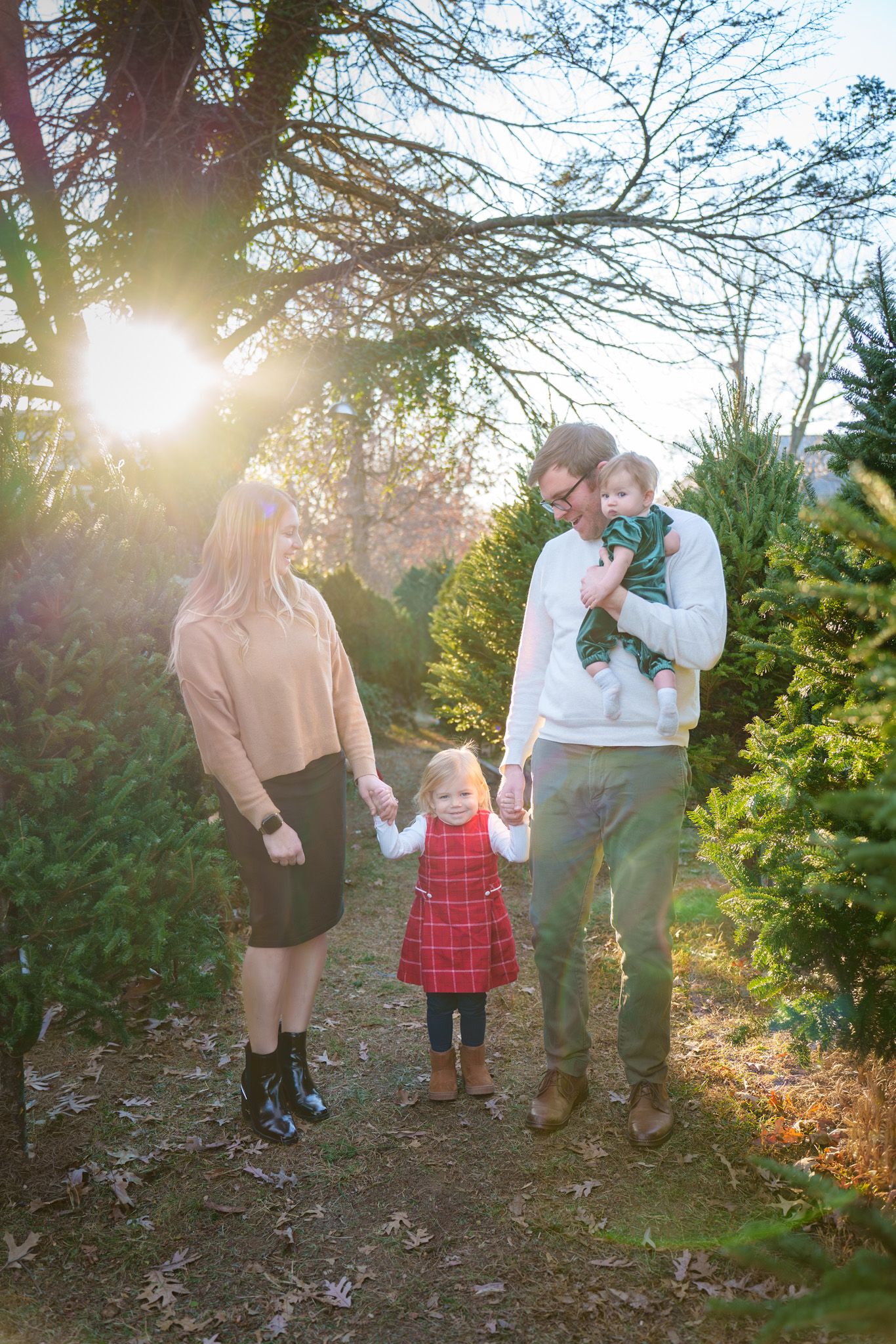 A heartwarming family moment at a Christmas tree farm with sunlight streaming through branches on a winter afternoon.