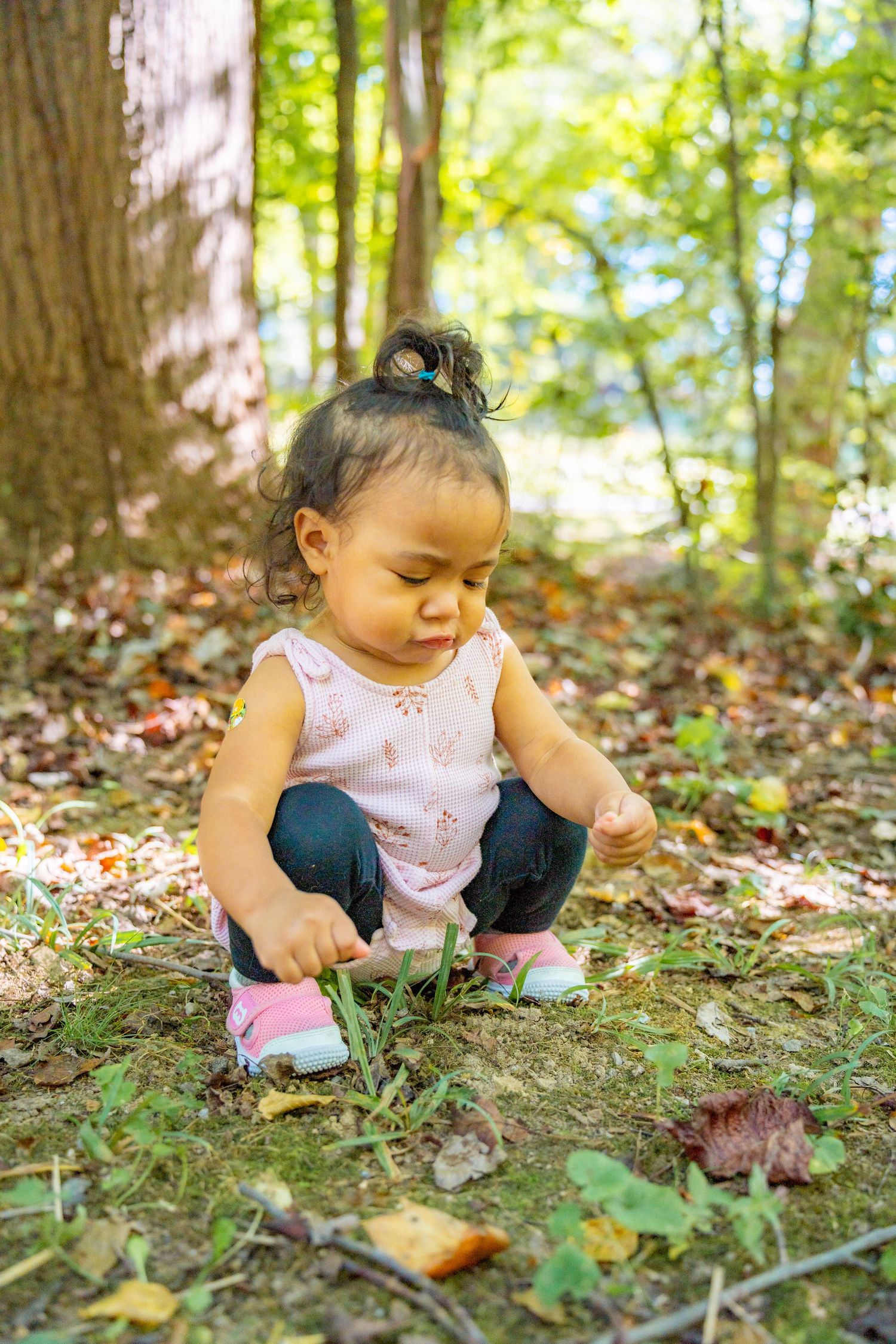 A small child explores the forest floor while sitting among fallen leaves and greenery in dappled sunlight.