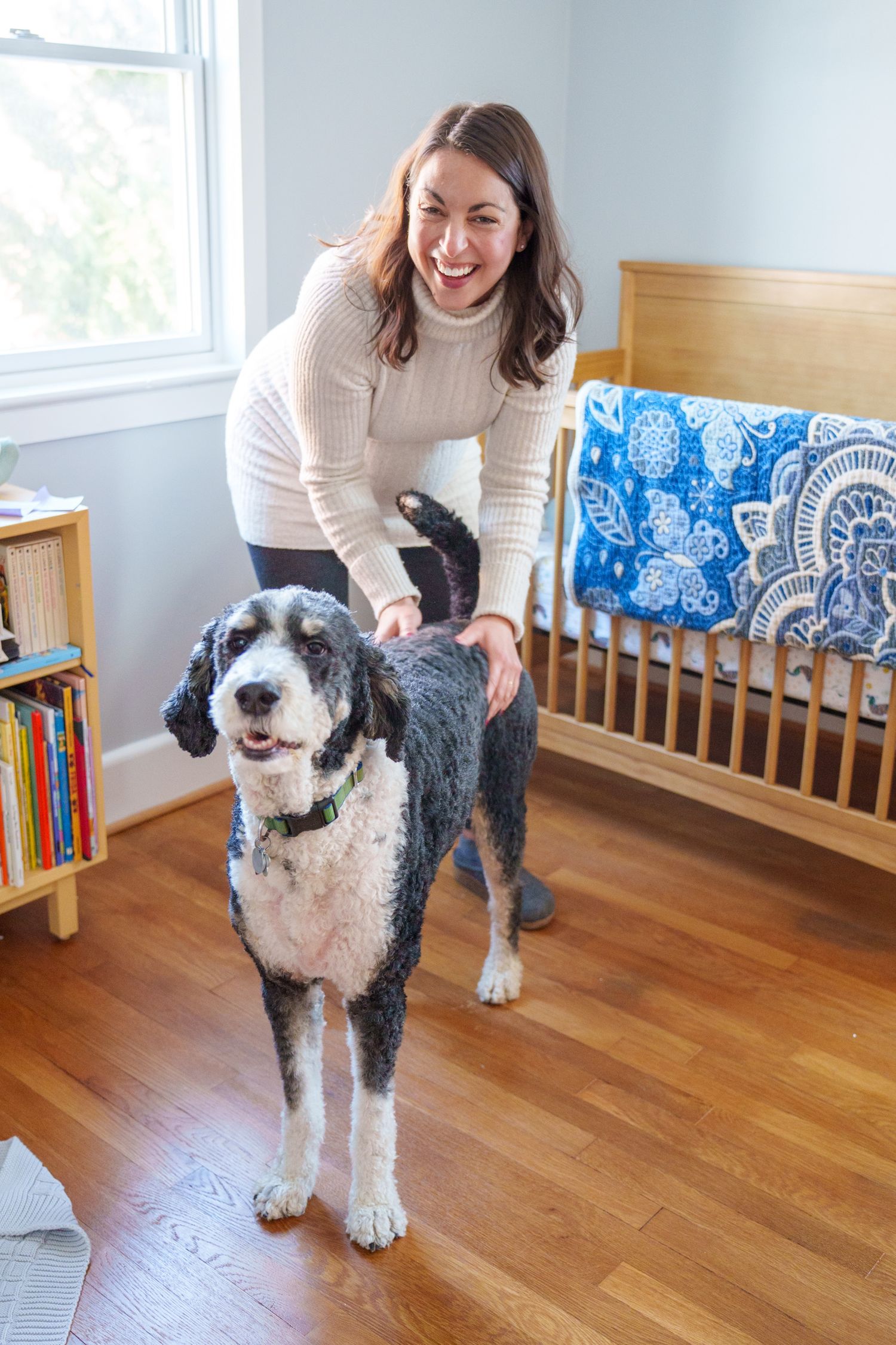 A playful sequence of a shaggy black and white dog interacting with someone on a hardwood floor near a bookshelf.