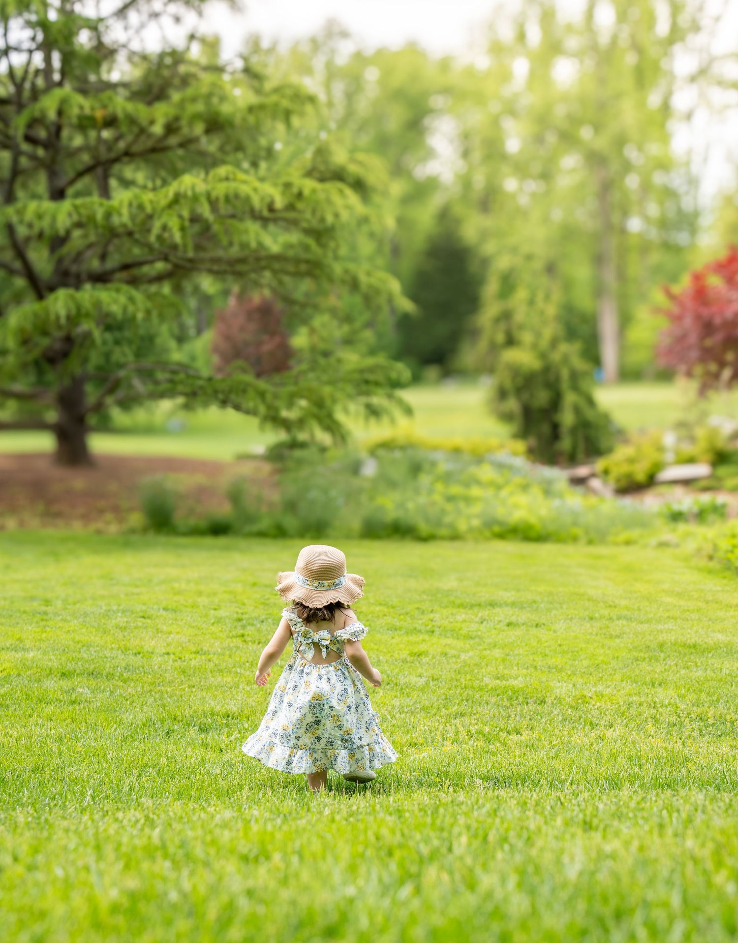 Todller in a floral dress playing on a sunlit grassy lawn. Brookside Gardens Photographer.
