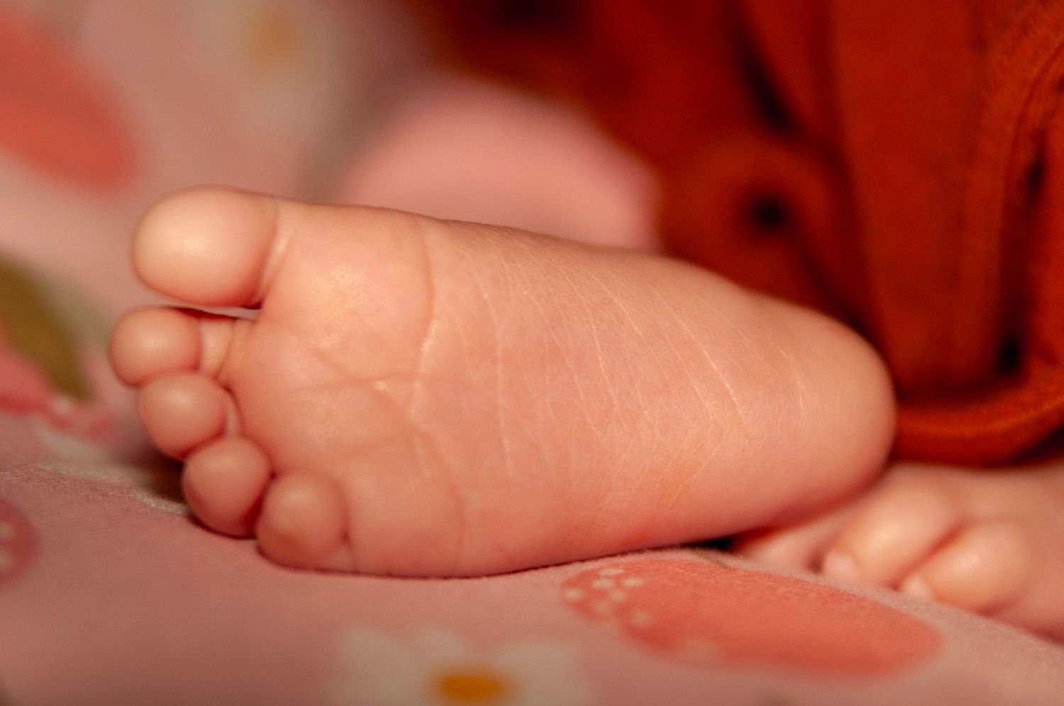 Close-up of a tiny baby foot with soft pink toes against floral bedding for a lifestyle newborn session in the DMV