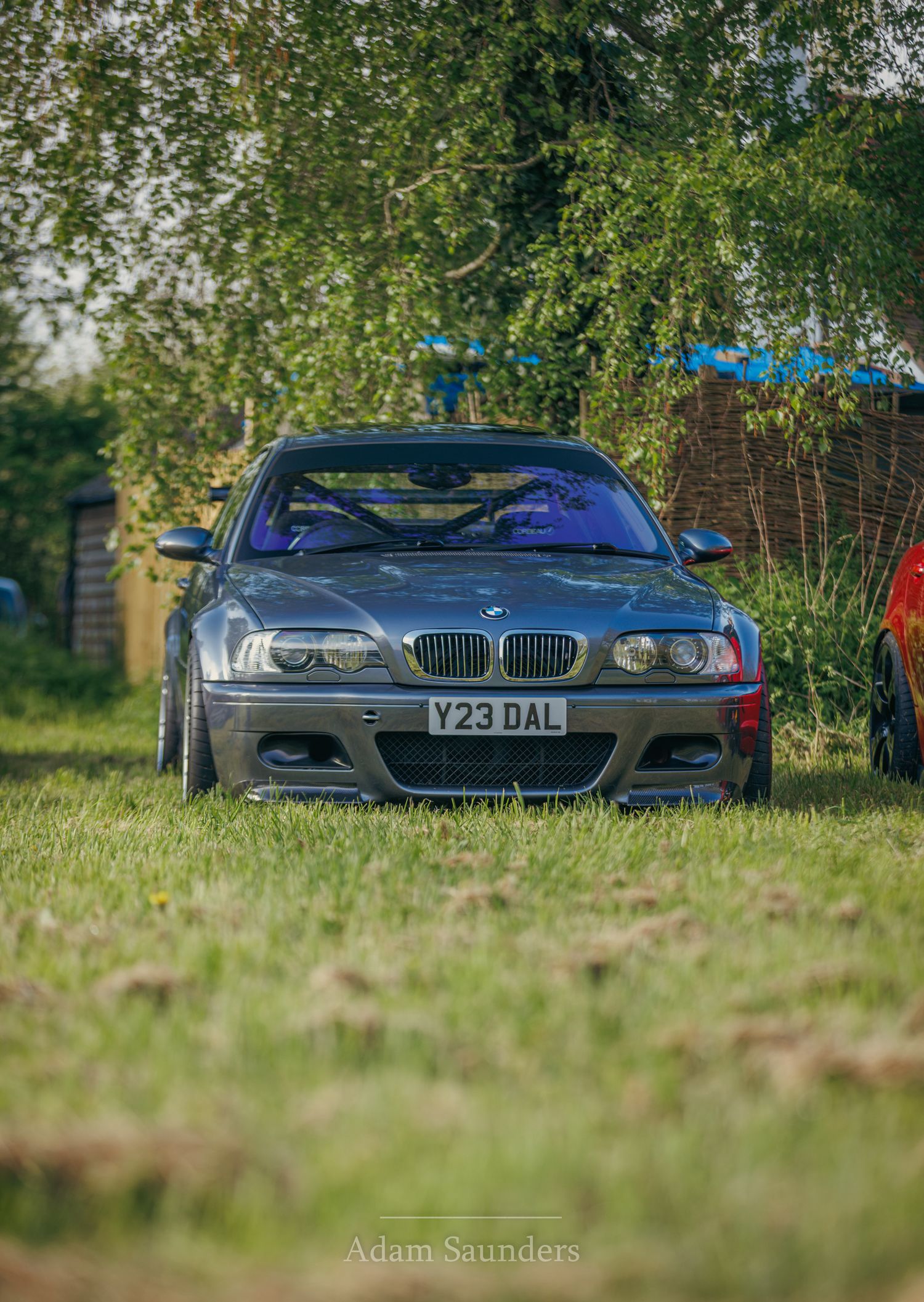 A silver BMW M3 E46 sedan parked on grass with overhanging tree branches in a natural outdoor setting.