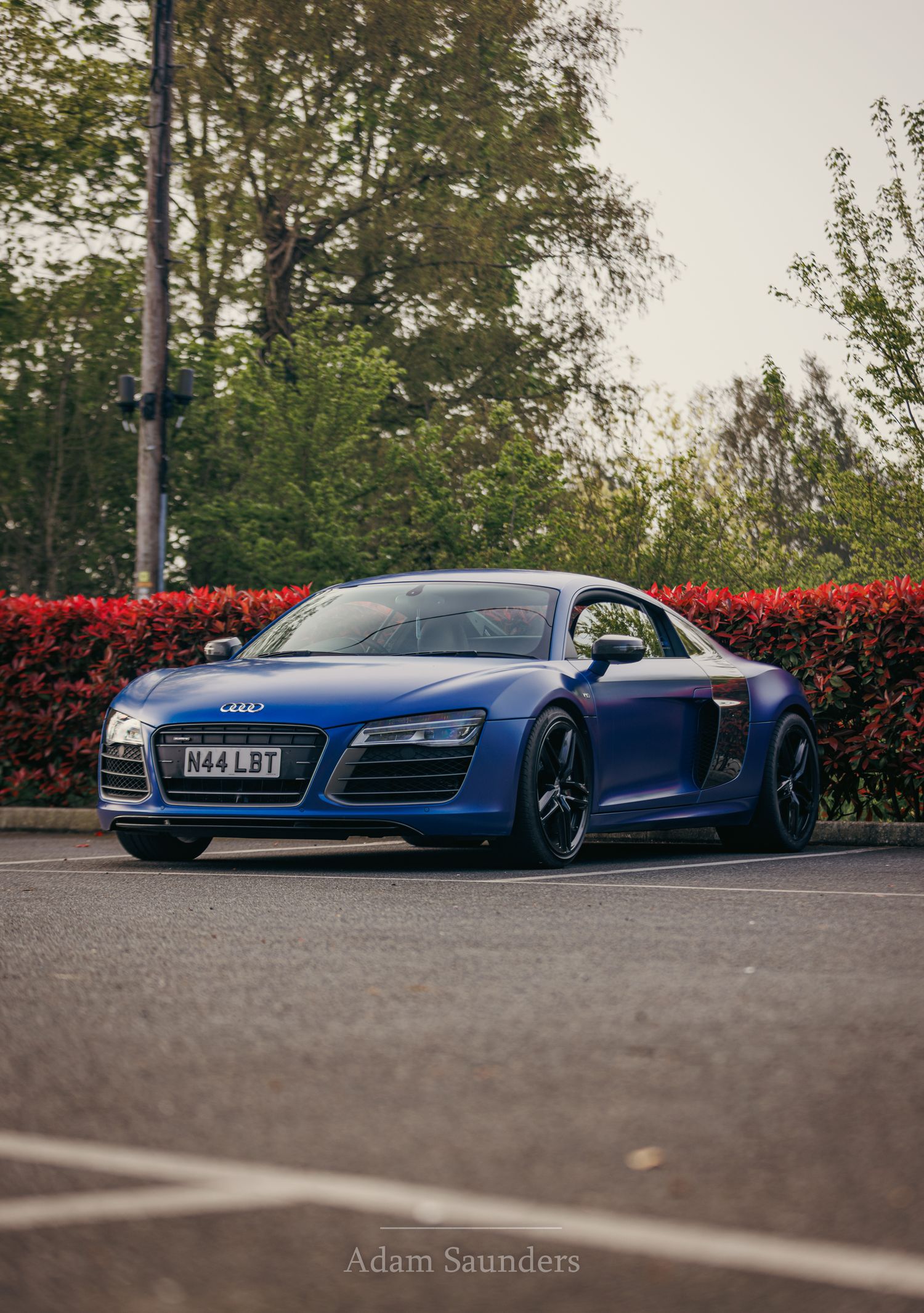 A blue Audi R8 V10 sports car parked in front of red flowering bushes and green trees on an overcast day.