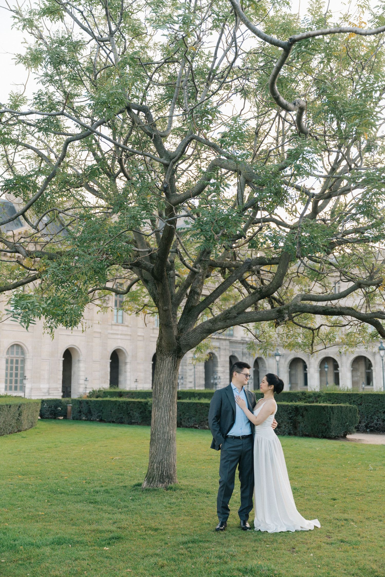 Pre-wedding photoshoot at the tuileries garden, near a big tree.