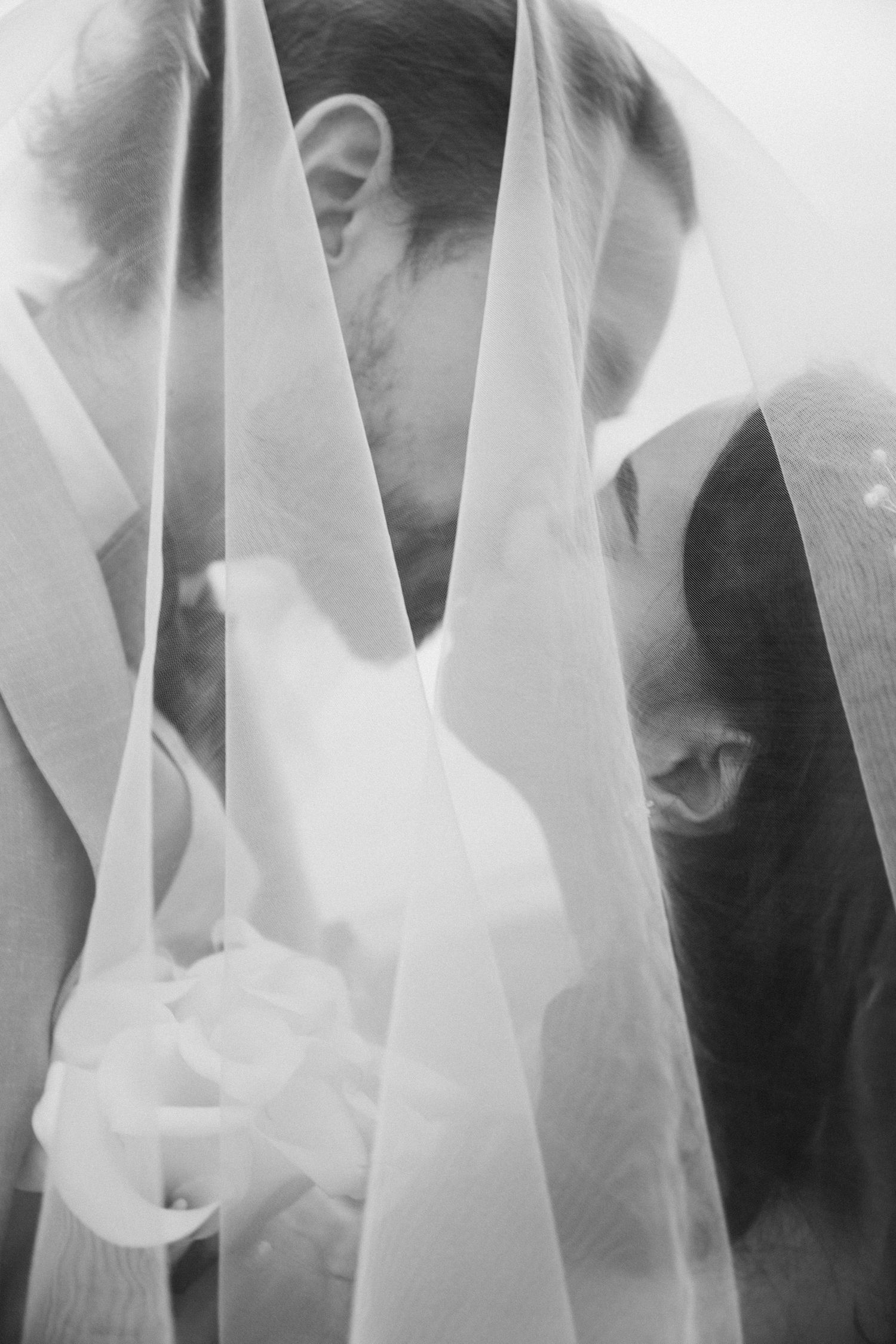 Black and white wedding couple portrait with veils. The groom and bride kiss