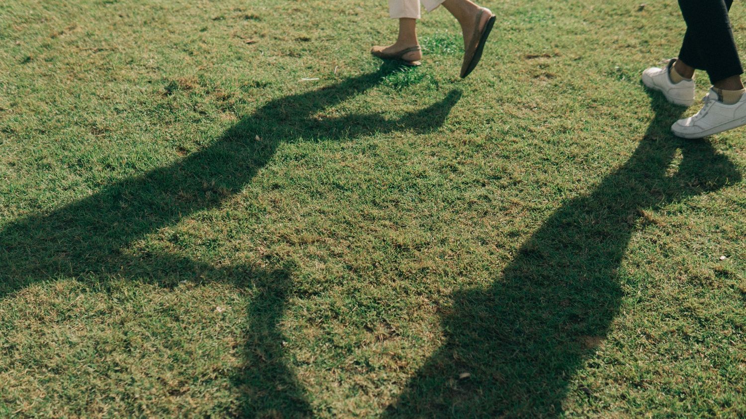 Two pairs of leg walking, shadow on a grass