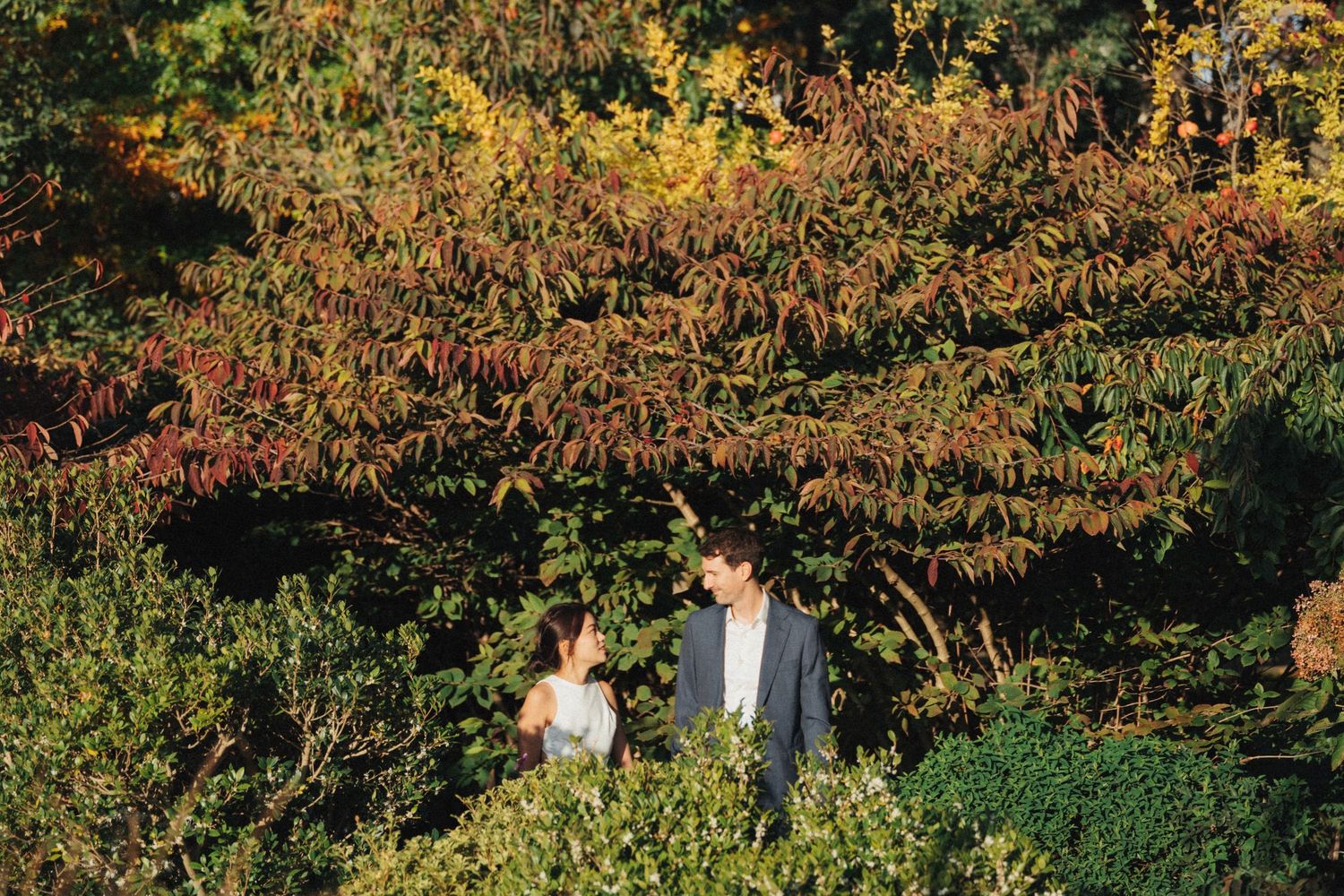 Wedding couple portrait at parc de la planchette, groom and bride walking in the middle of autumn colored plants