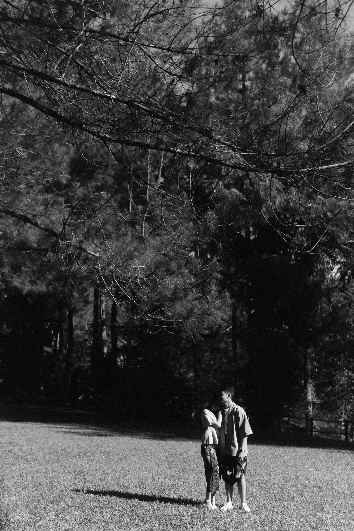 Cinematic black and white couple photoshoot in Bandung pine forest