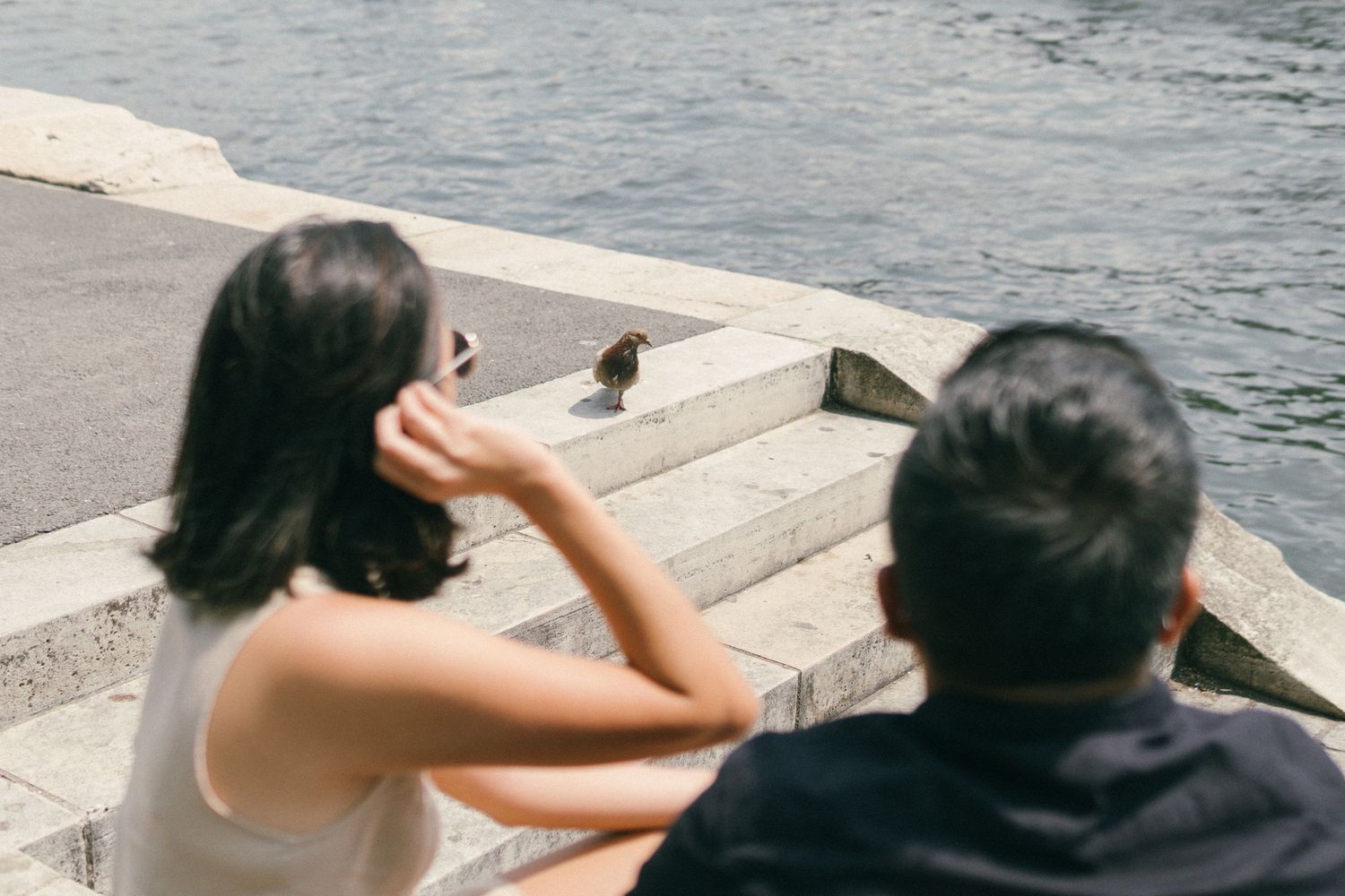 Couple sitting down by the seine river photoshoot with a pigeon in focus