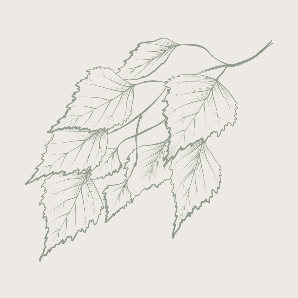 Branch