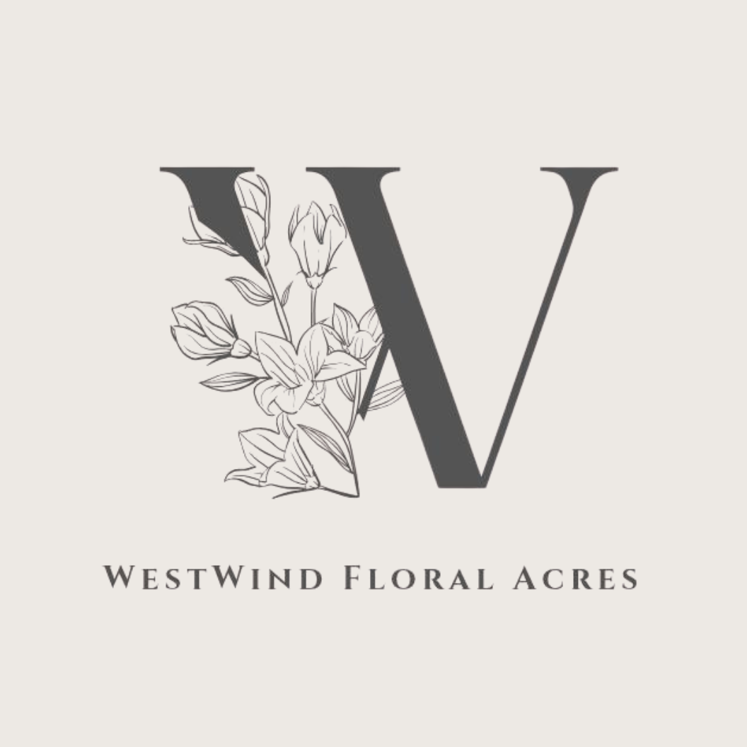 WFA