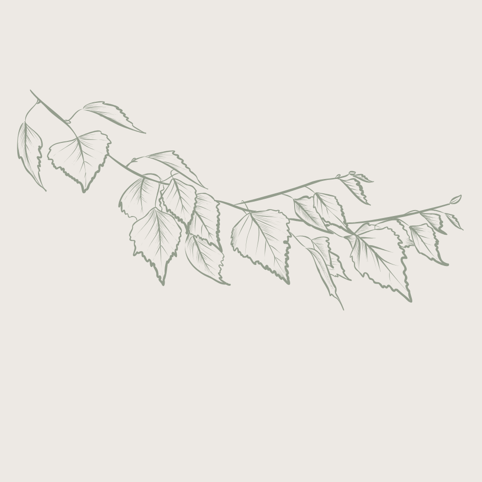 Branch