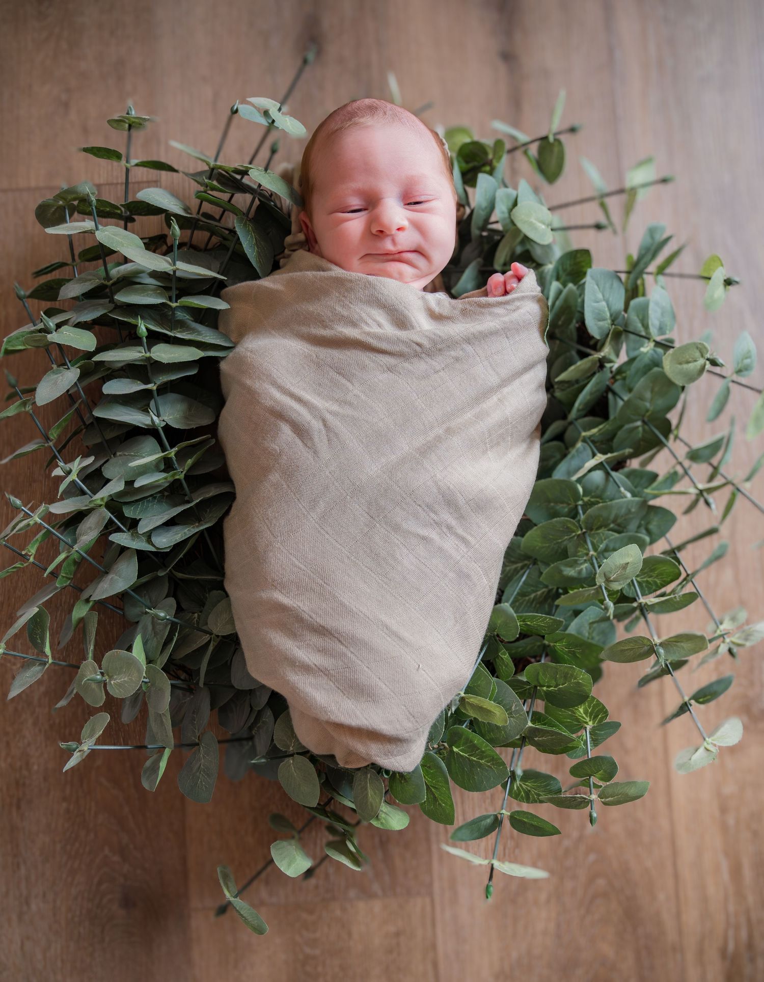 A newborn baby swaddled in beige cloth lies on wooden floor surrounded by fresh eucalyptus branches in a progression.