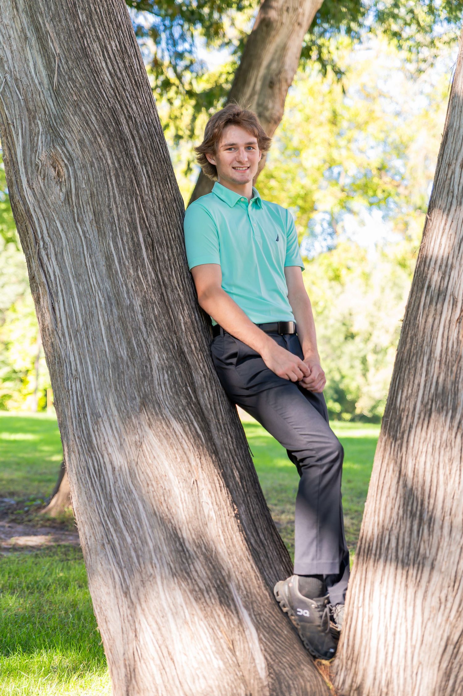 A sequence of four photos shows someone sitting in different positions on a large tree trunk in a sunny park.