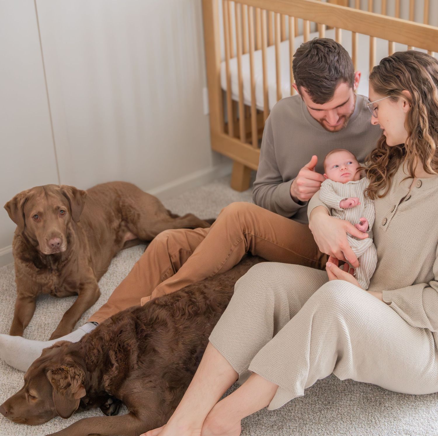 A chocolate Labrador dog relaxes on a couch with family members in a cozy living room setting.