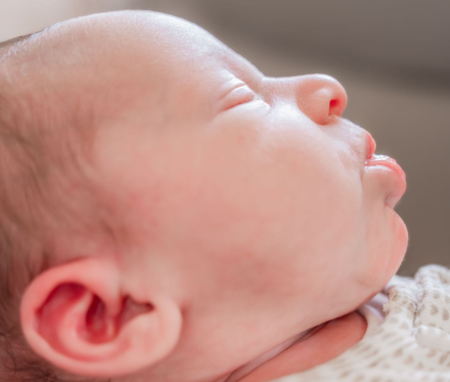 Close-up profile view of a sleeping newborn baby with soft skin and delicate features resting on white lace.
