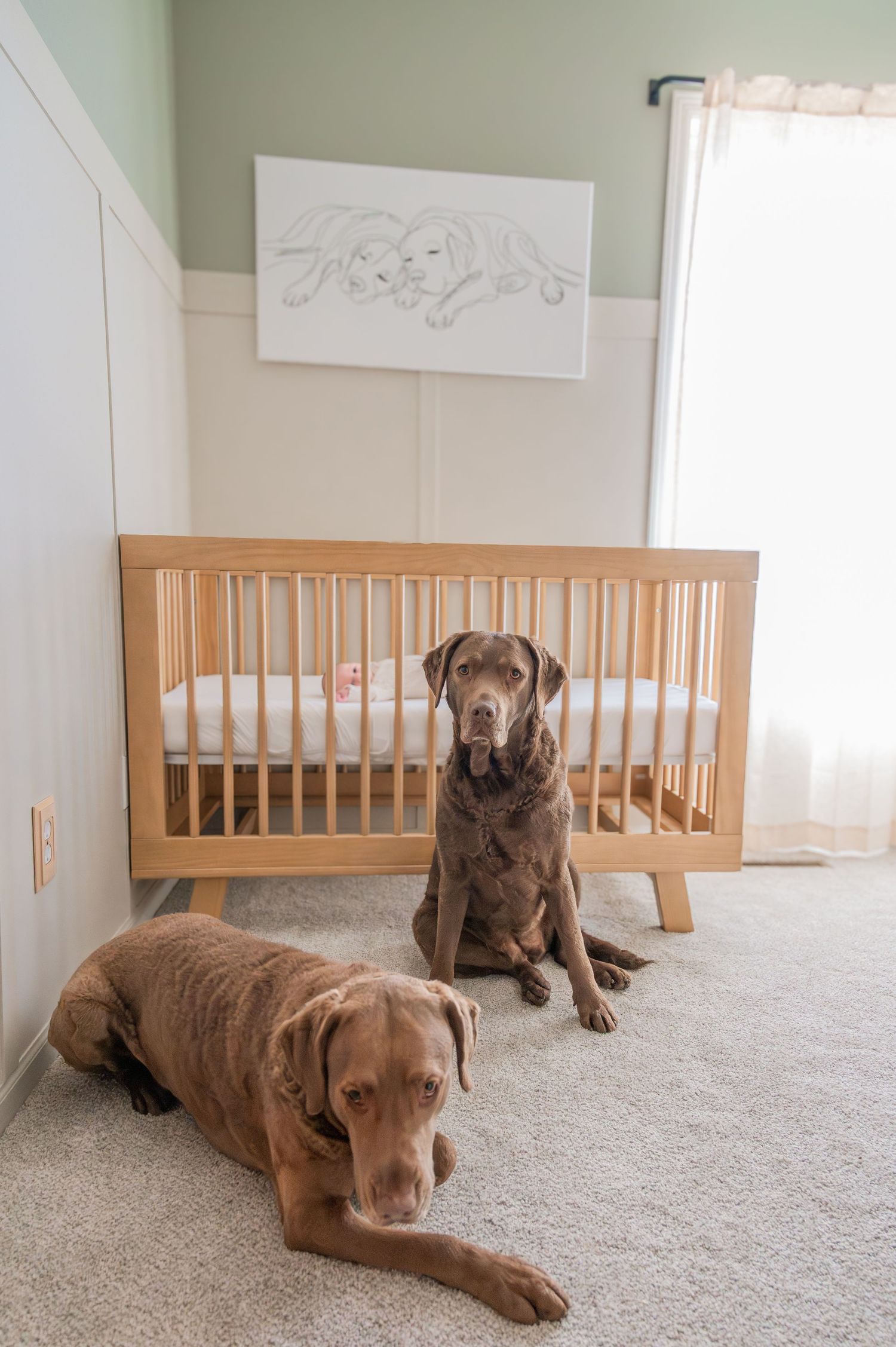 Two brown dogs lie on the floor next to a wooden crib in a nursery with mint green walls.