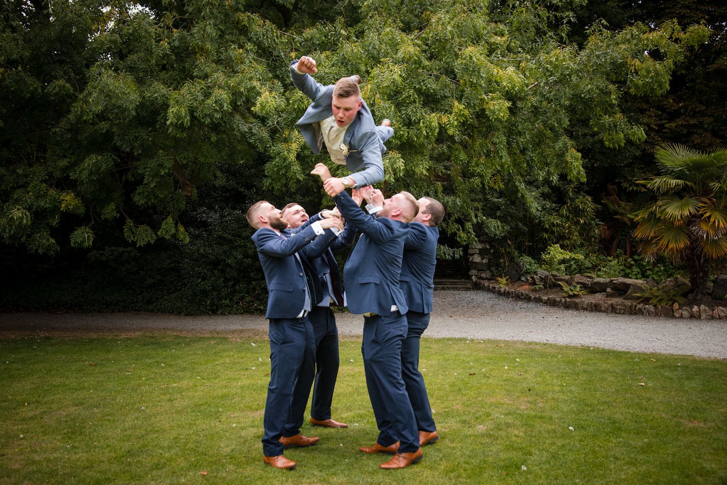 Wedding party groomsmen in blue suits playfully lift and toss someone in the air on a grassy lawn.