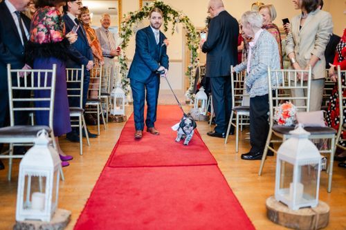 A small dog walks down a red carpet aisle lined with white lanterns at an indoor wedding ceremony.