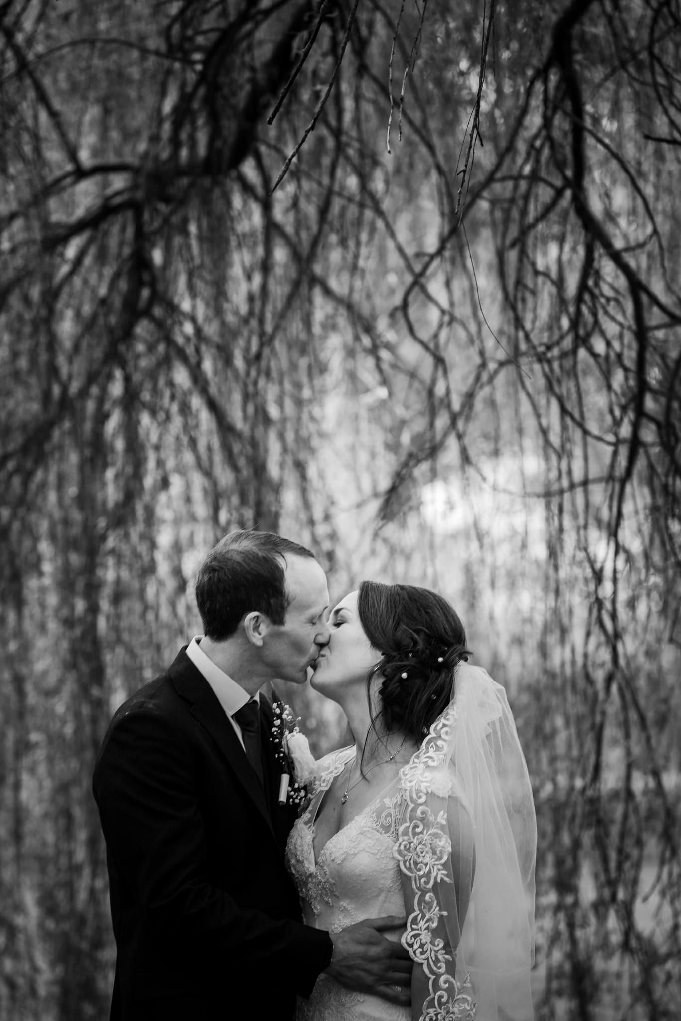 A romantic wedding couple shares a tender kiss under drooping willow branches in a moody black and white photograph.