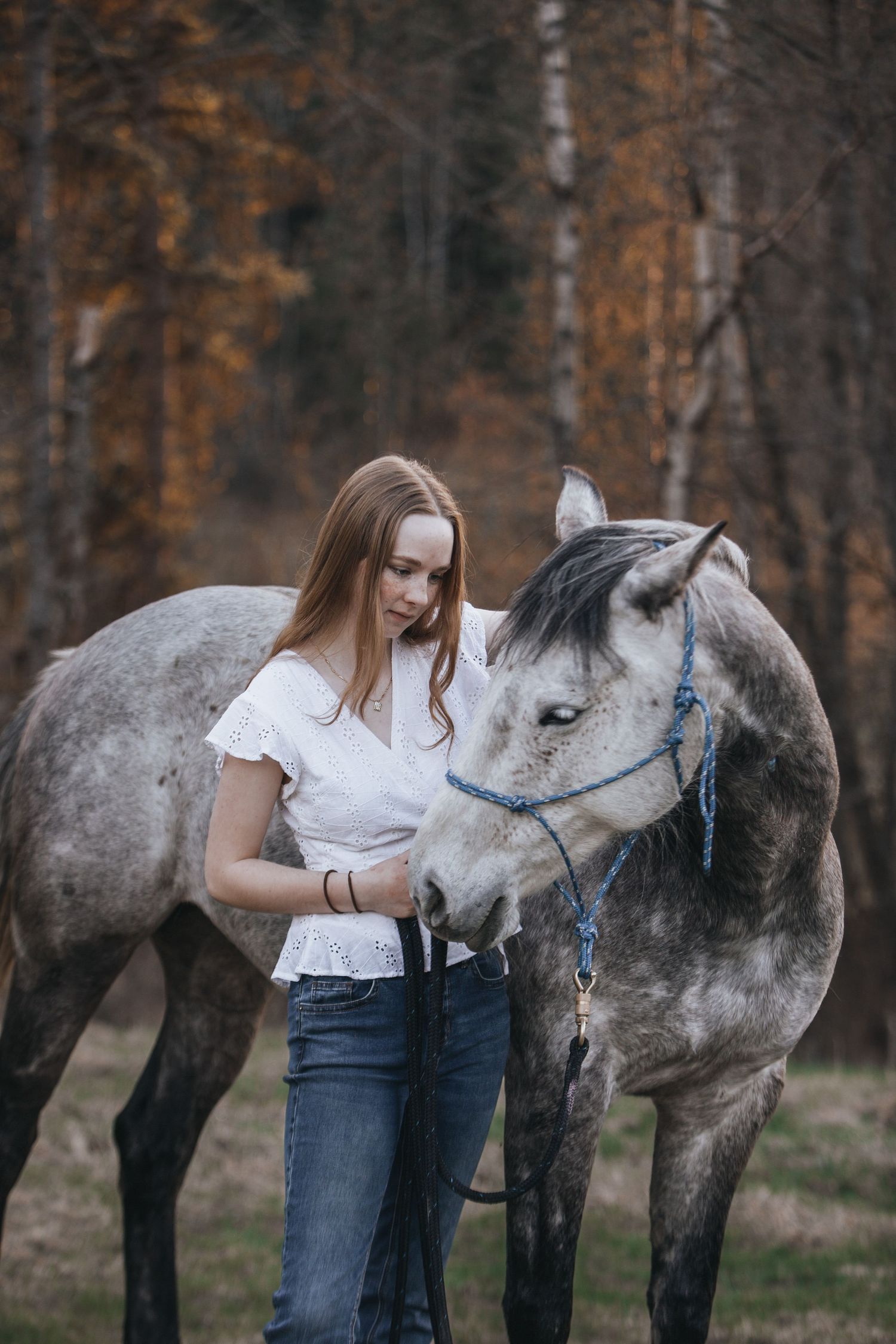 Person in white shirt pets gray horse in autumn forest setting.