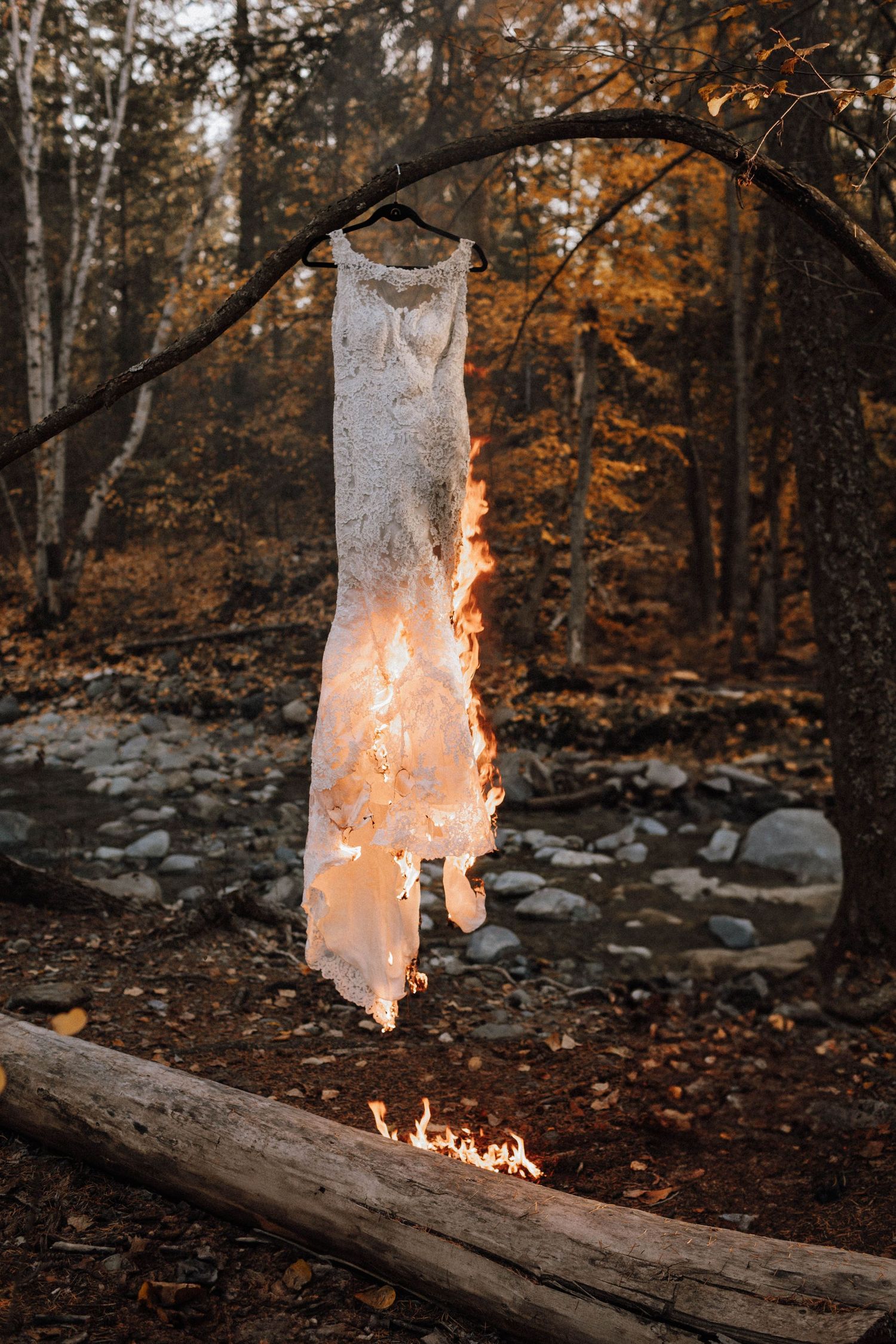 A sequence of photos showing a tree trunk burning with bright flames in an autumn forest setting.