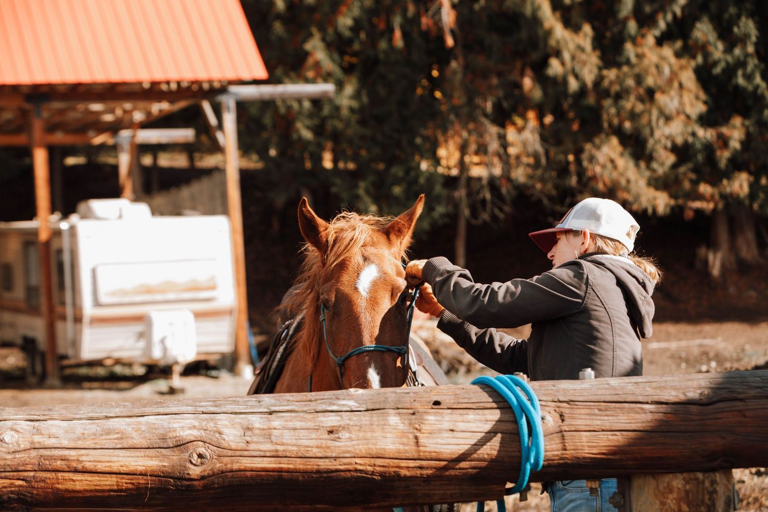Person in baseball cap pets a brown horse over wooden fence at rural stable.