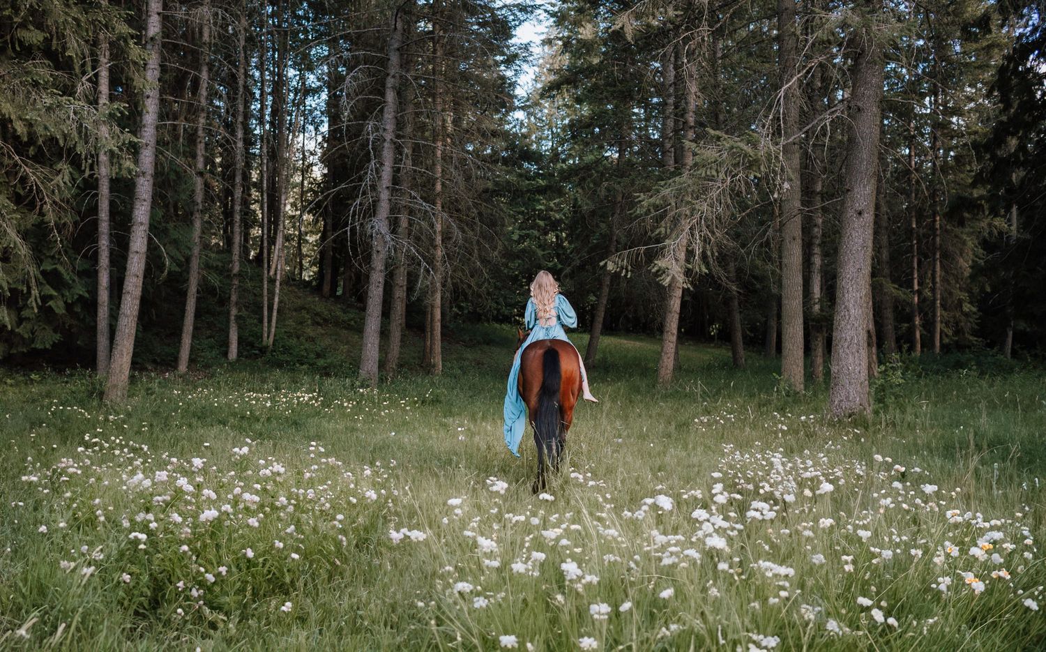 Horse and rider traverse wildflower meadow surrounded by tall pine trees.