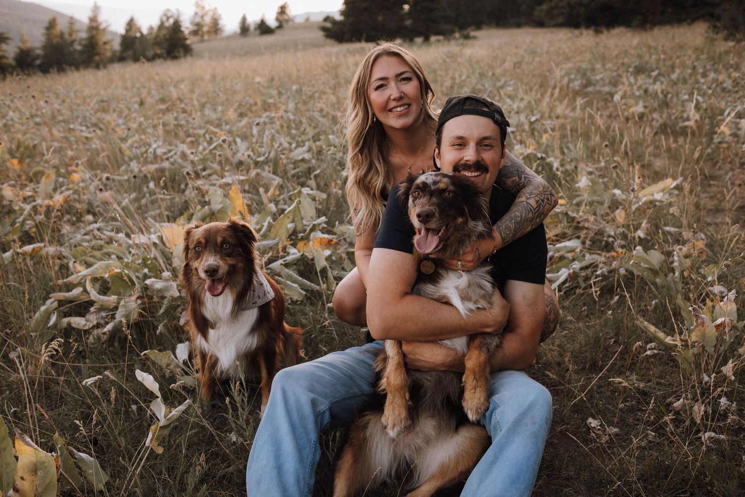 A couple sits in a grassy field at sunset with their two dogs, creating a warm family portrait outdoors.