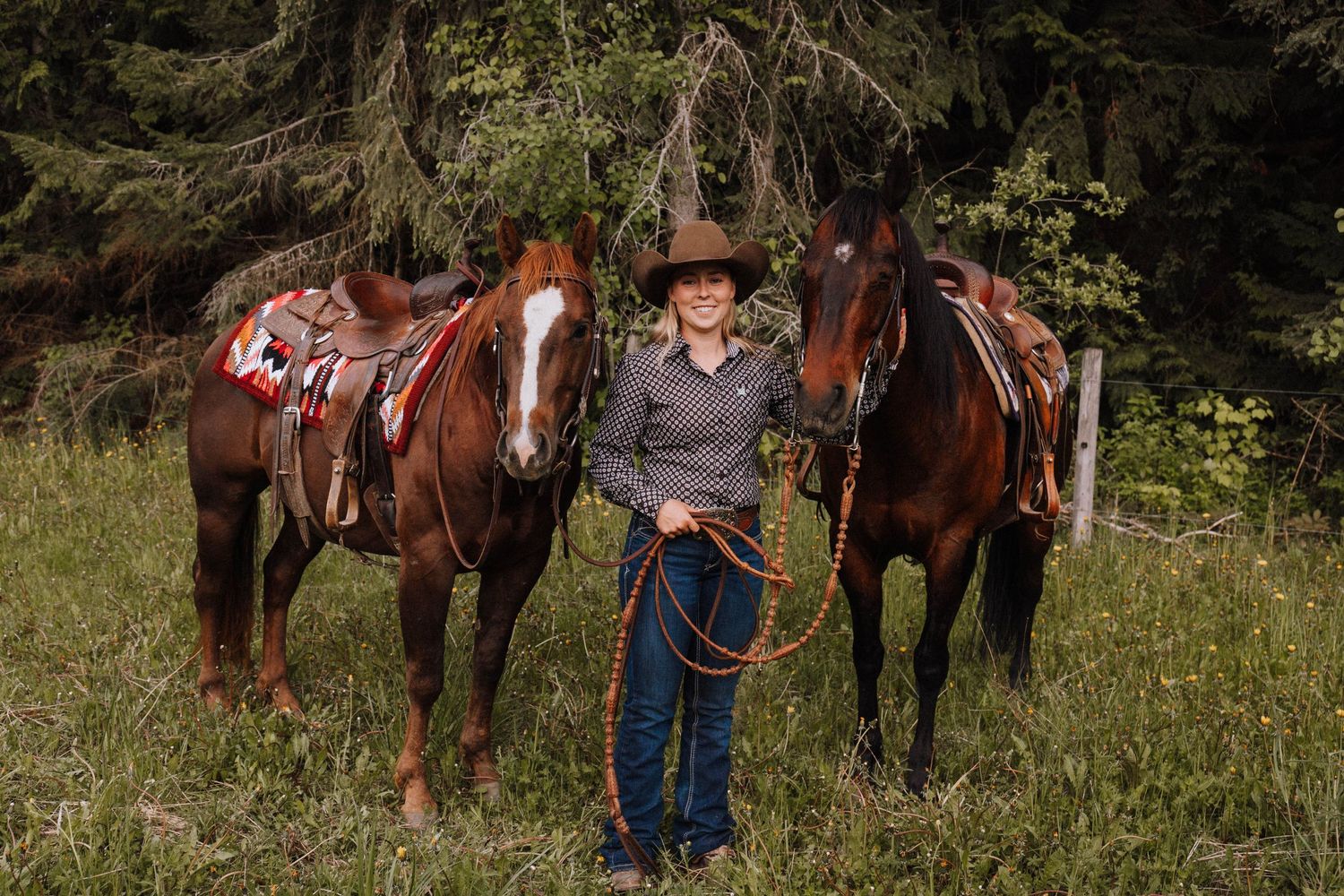 Two bay horses standing in a grassy field with wildflowers and forest in the background.