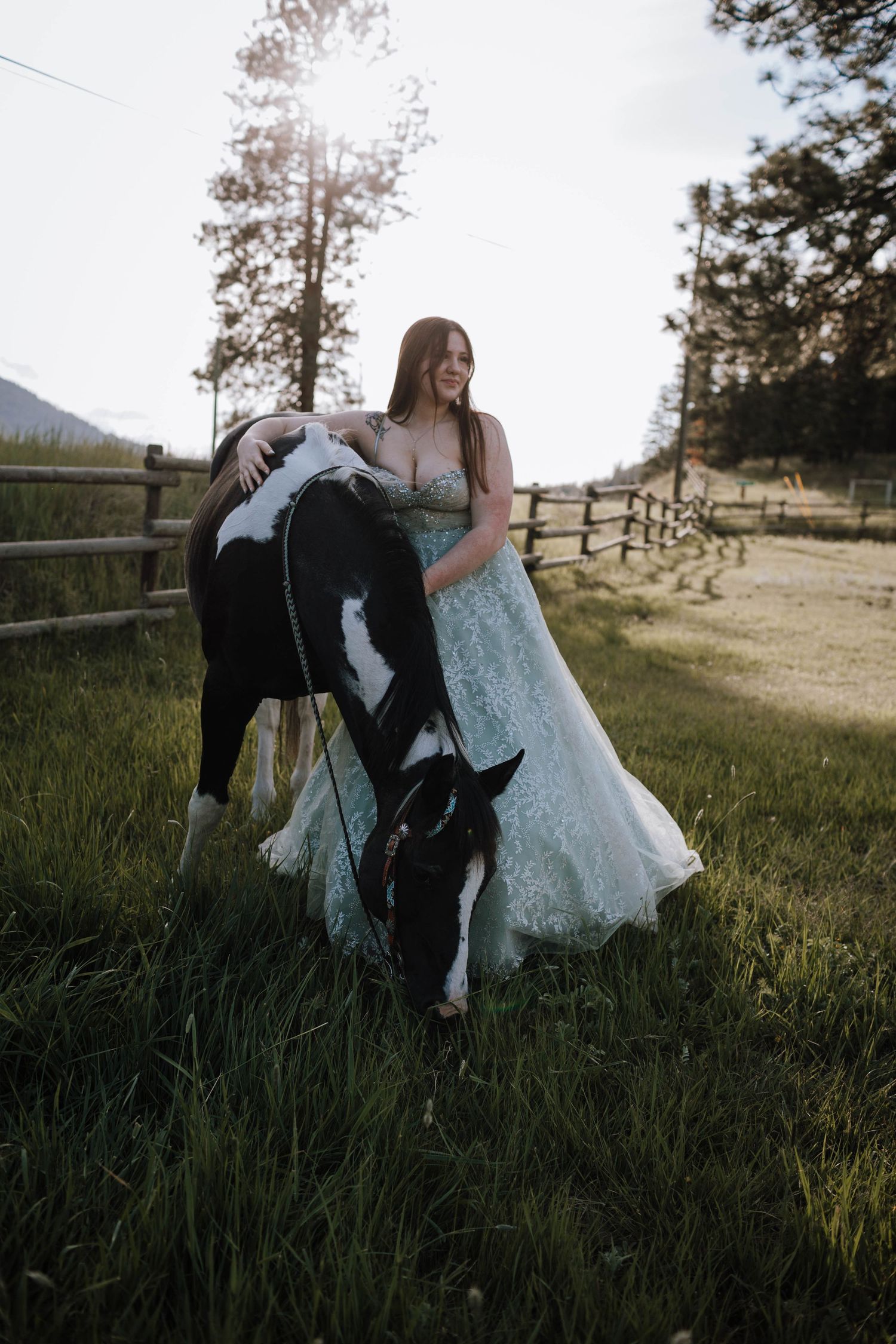 A black and white horse grazes while being pet in an elegant outdoor setting.