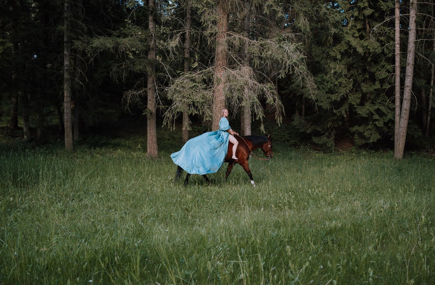 A flowing light blue dress twirls elegantly in motion against a forest backdrop with tall evergreen trees.