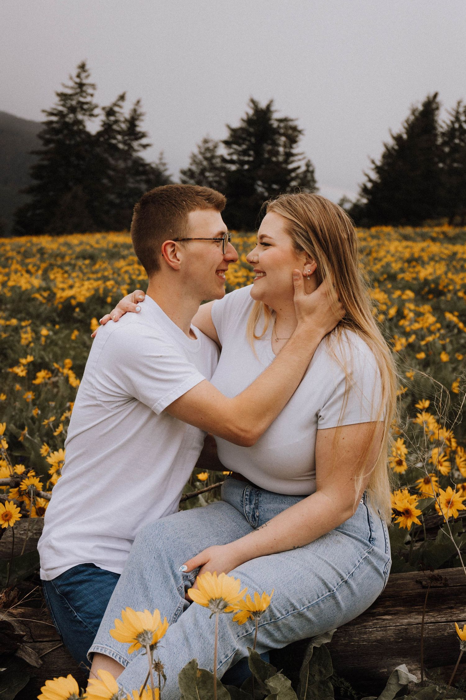 A romantic couple shares a tender moment sitting on a log surrounded by bright yellow wildflowers in a mountain meadow.