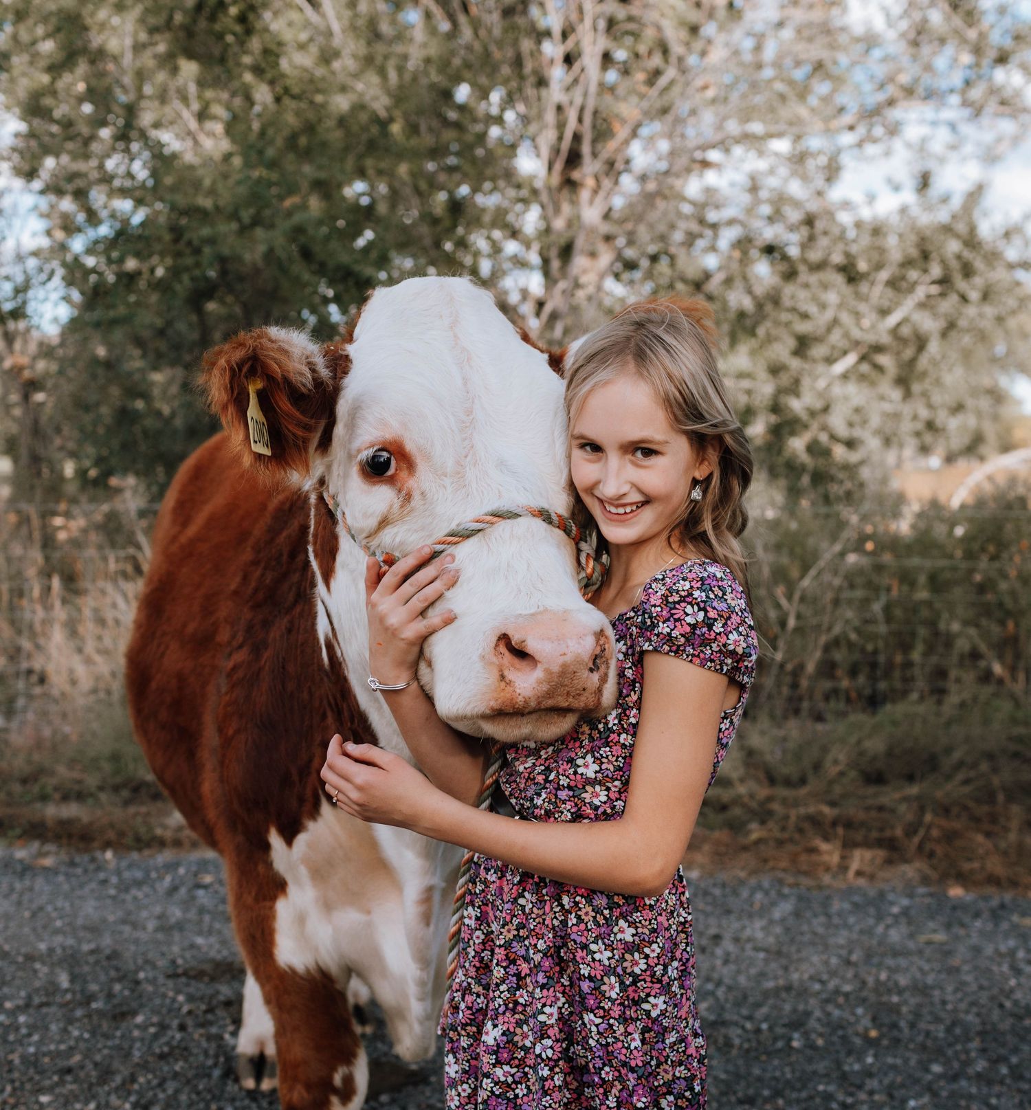 Next to a brown and white beef cow, someone in a floral dress smiles while embracing the cow's face outdoors.