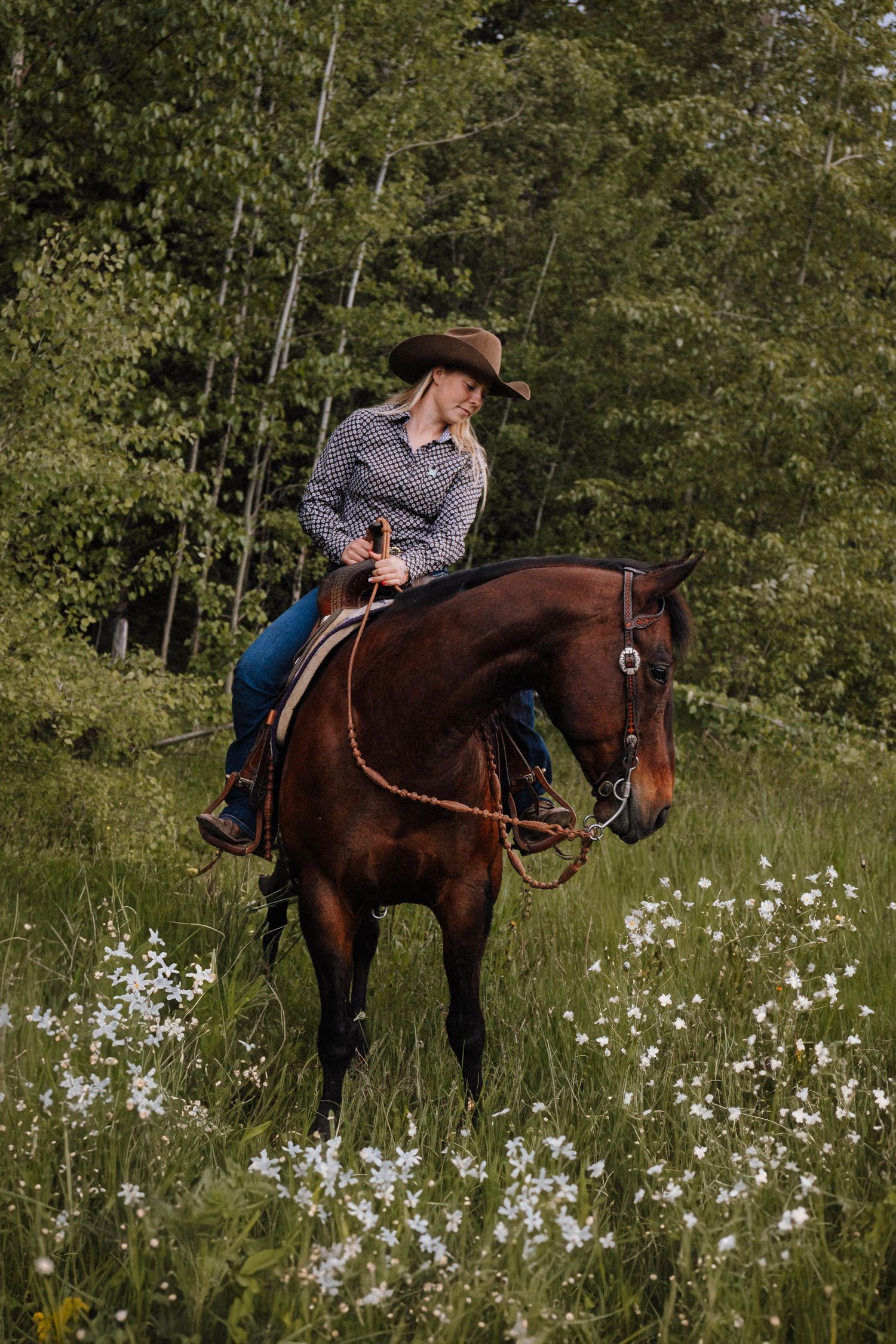 A horse and rider stand among blooming wildflowers in a lush green meadow.