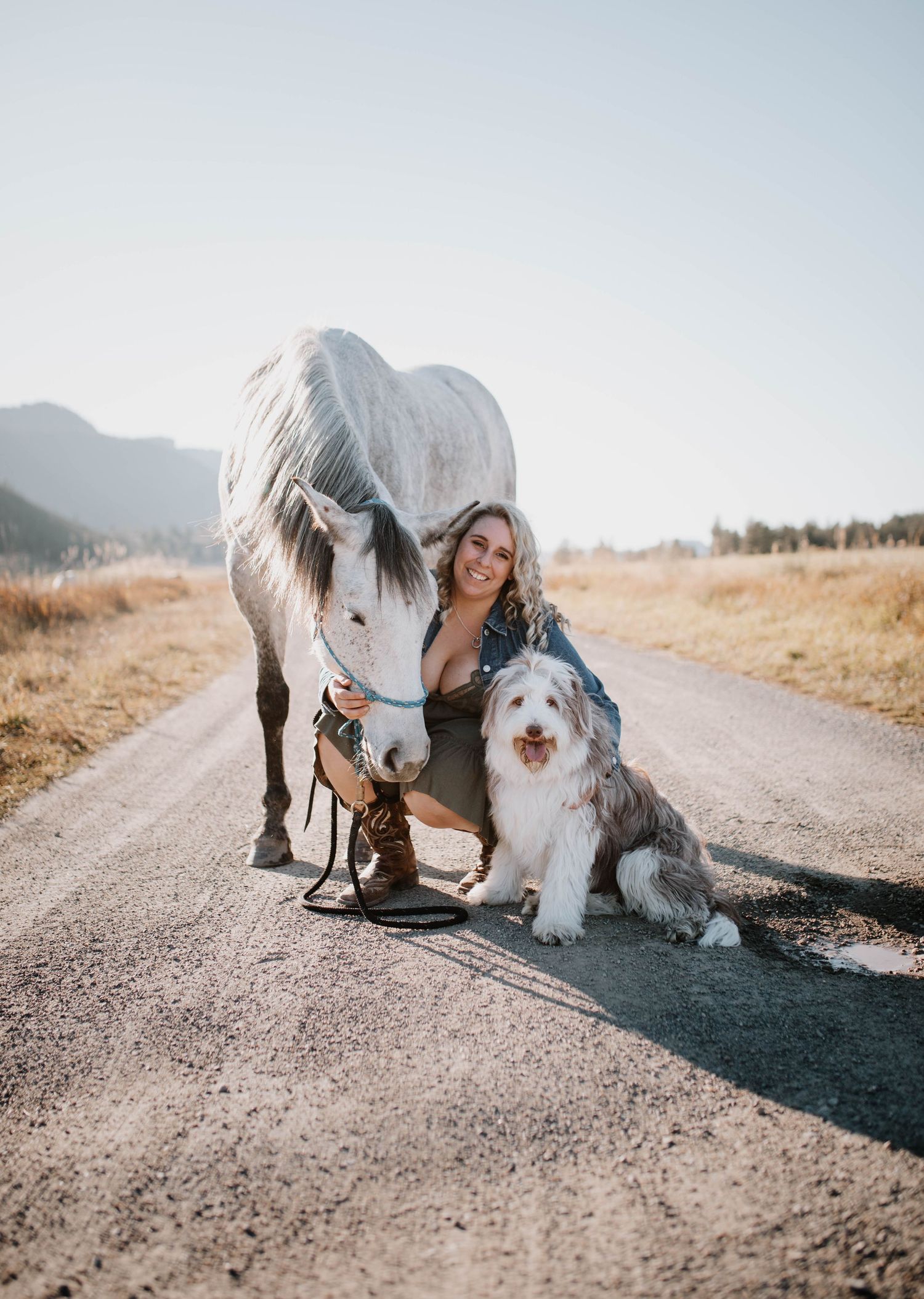 A white horse and fluffy sheepdog pose with their companion on a rural mountain road.