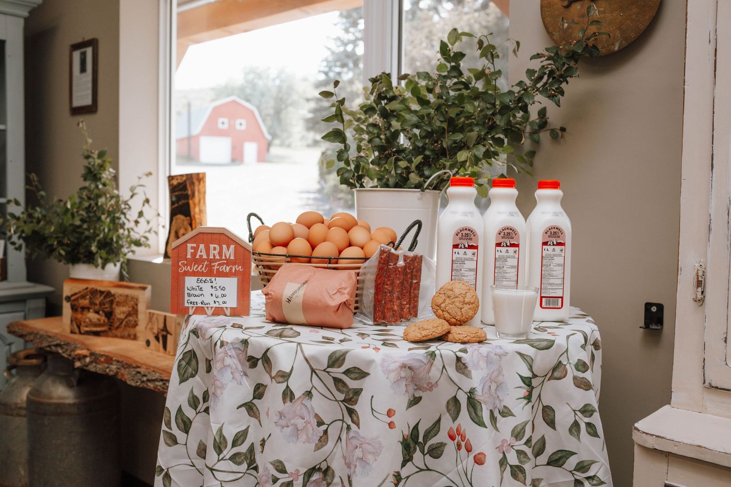 Fresh oranges and milk bottles arranged on a floral tablecloth near a sunny window with potted plants.