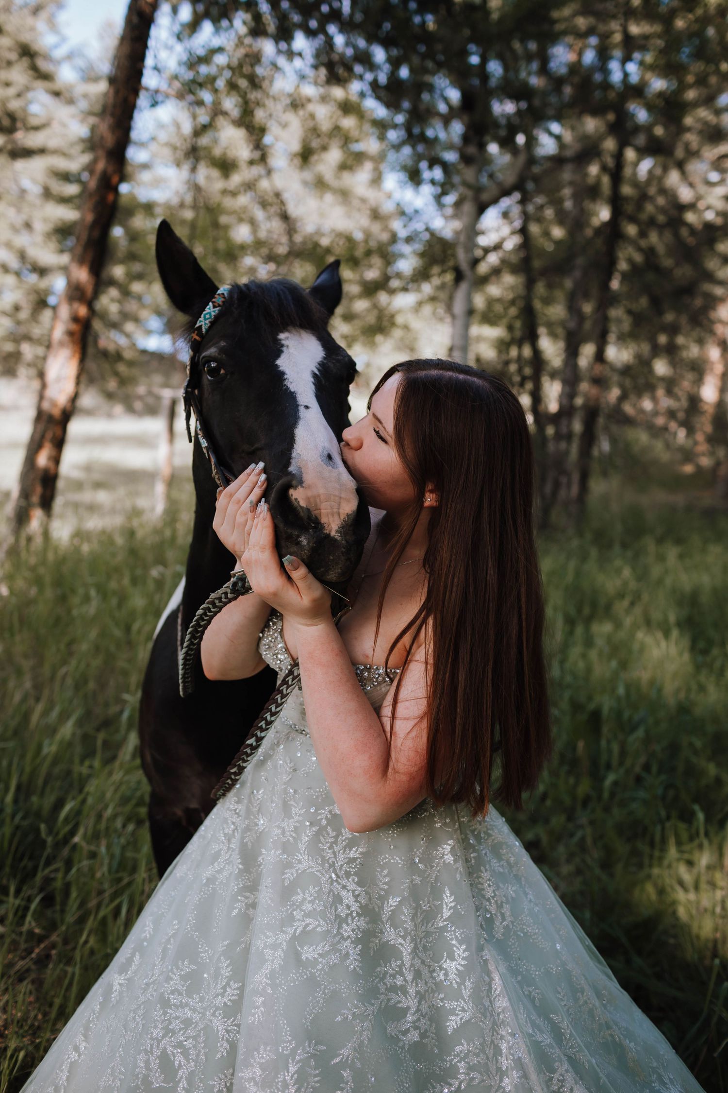 A black and white horse receives affection while standing in a wooded area.