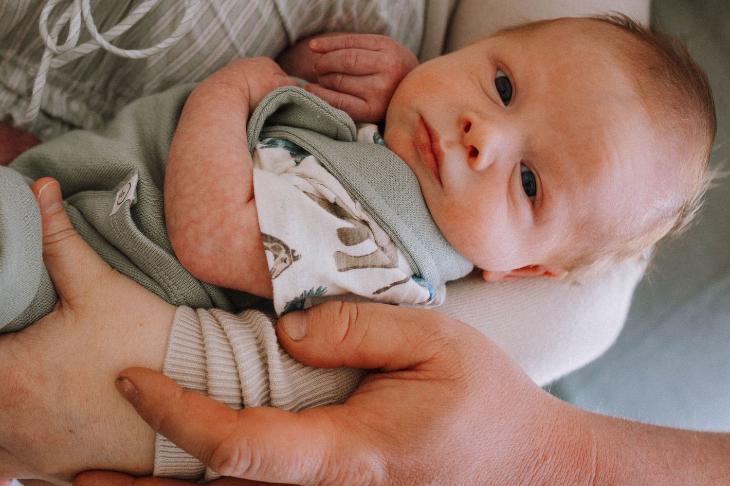 Close-up of a baby wearing a gray and white onesie while being cradled in someone's arms.