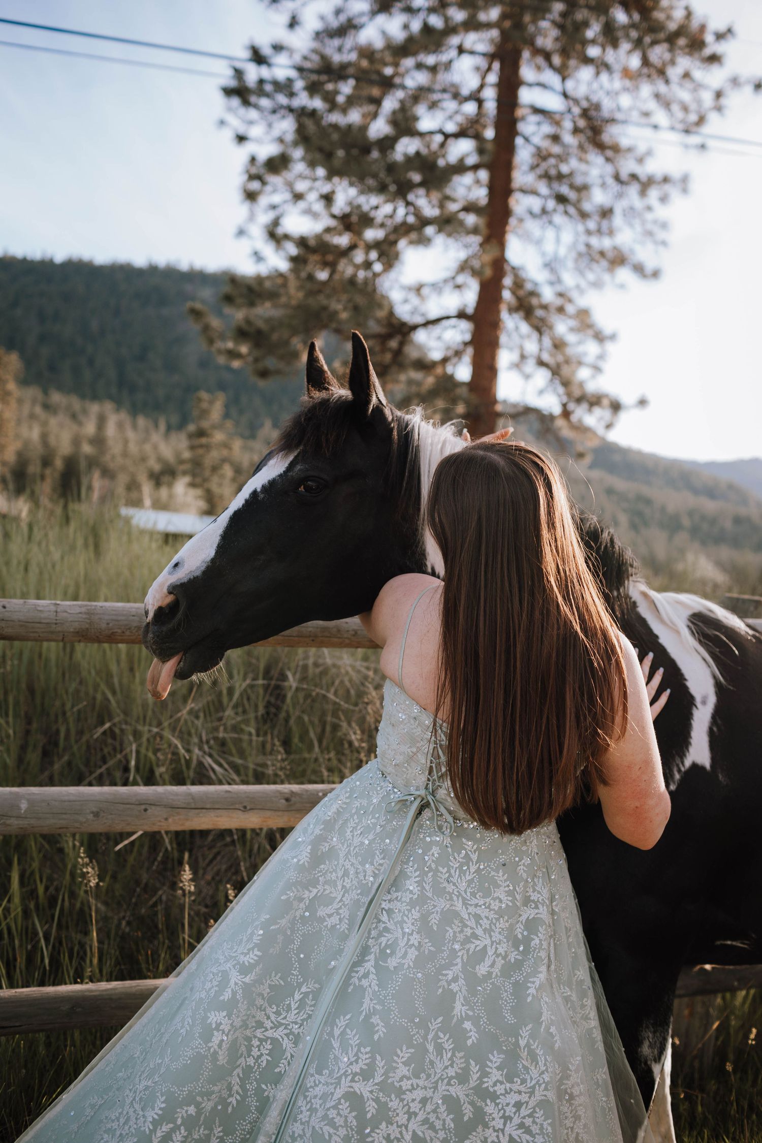 A beautiful girl in a light blue lace dress embraces a black and white horse near a rustic fence.