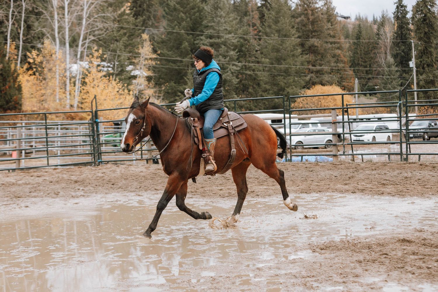 Equestrian riding brown horse at trot in winter arena setting.