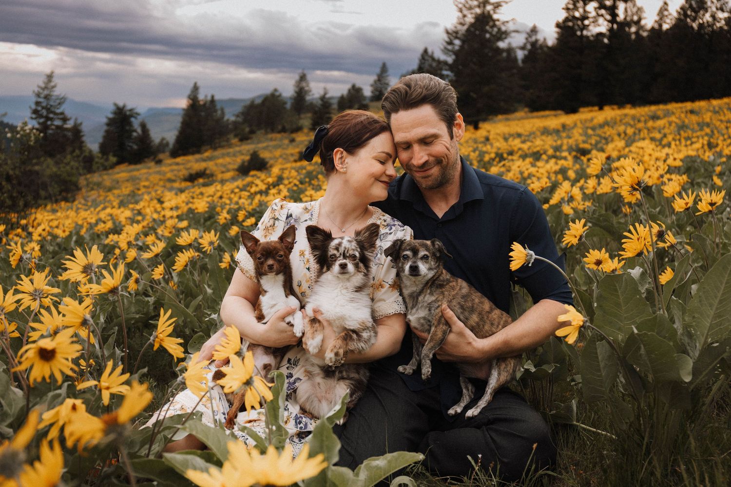 A couple sits together in a vibrant yellow wildflower meadow with their dog during golden hour in the mountains.