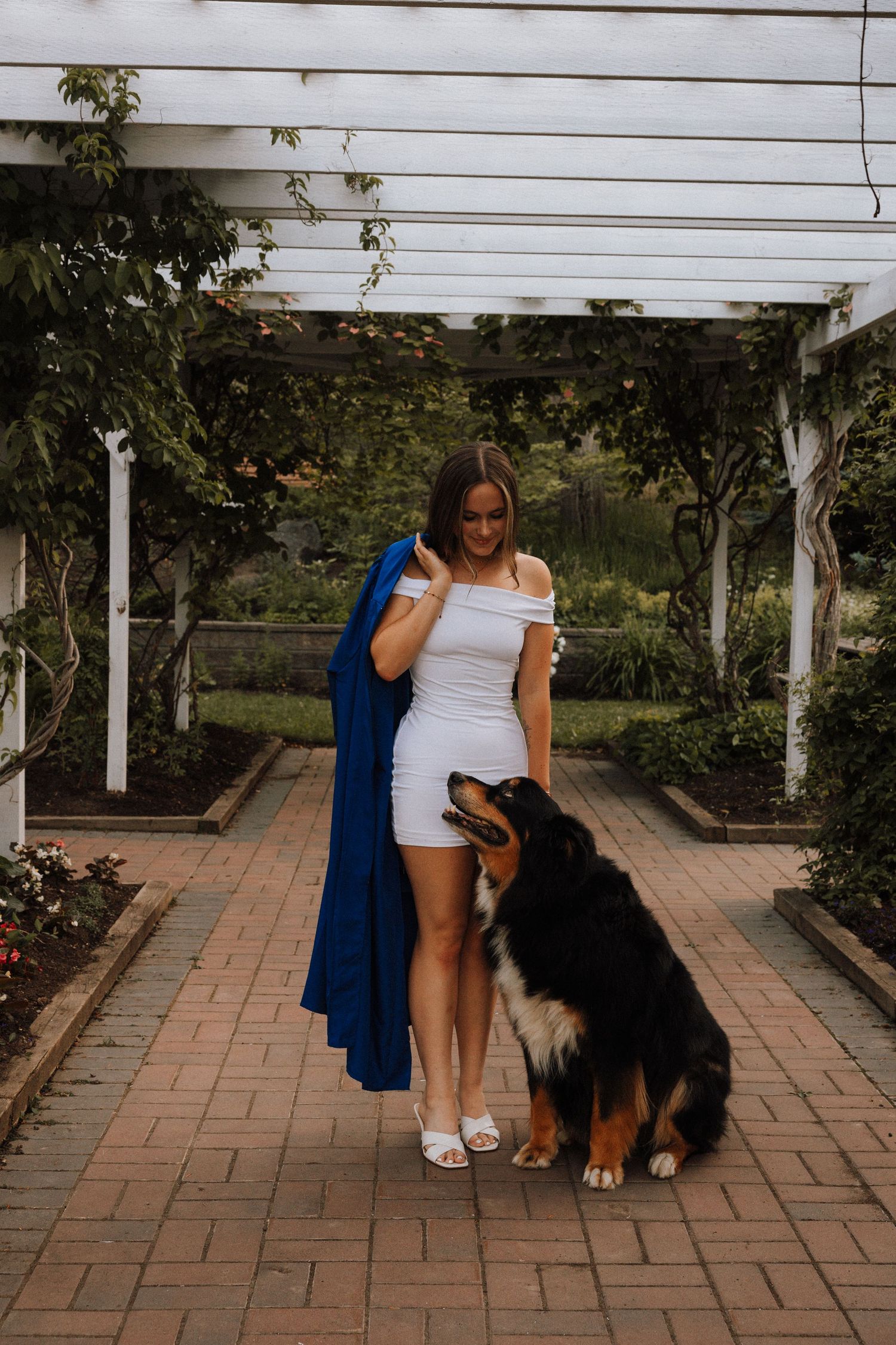 Young woman in white dress holding blue graduation gown stands with Bernese Mountain Dog on brick path in garden pergola.
