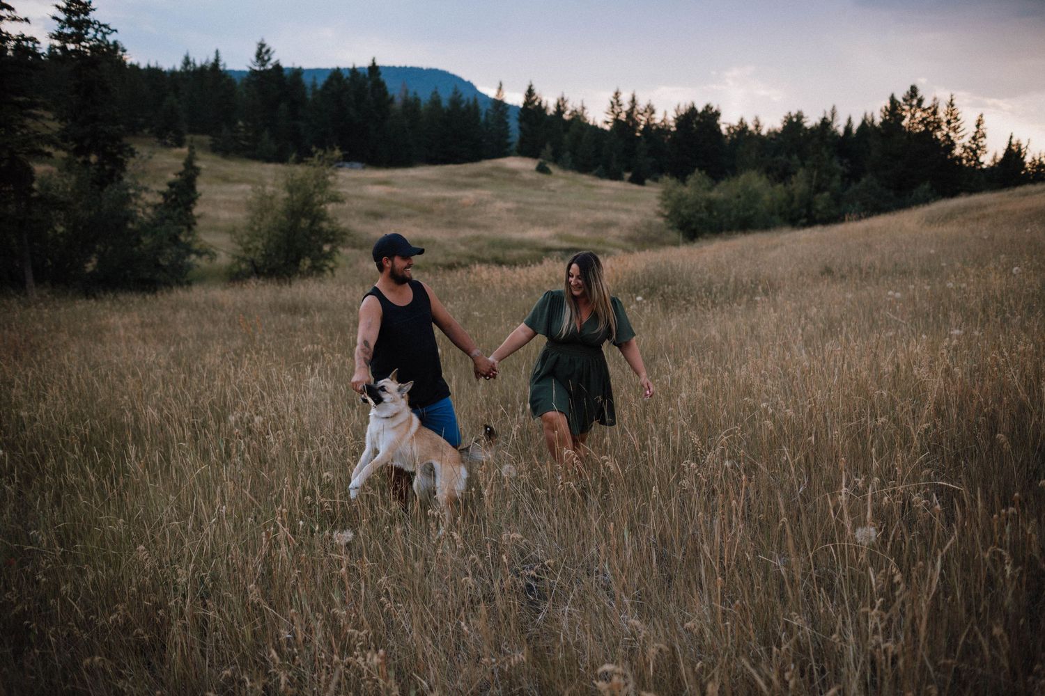 A couple walks through tall golden grass with their dog in a mountain meadow at sunset.