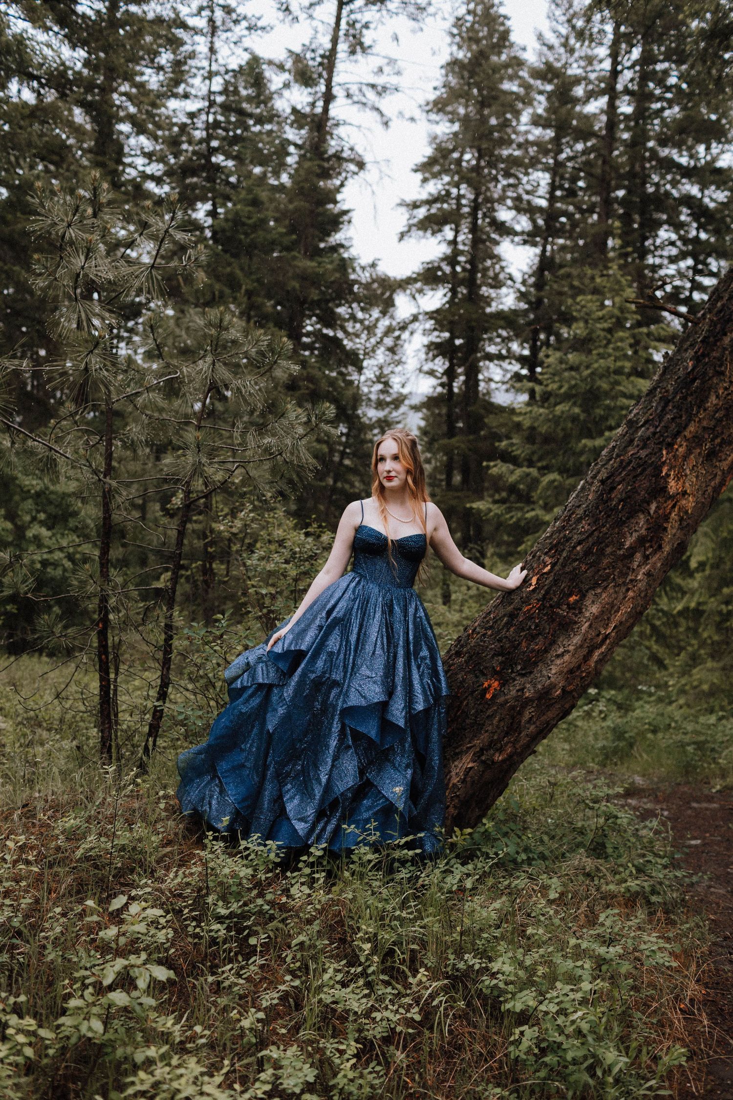 A flowing blue ball gown dress stands elegantly against tall evergreen trees in a forest setting.