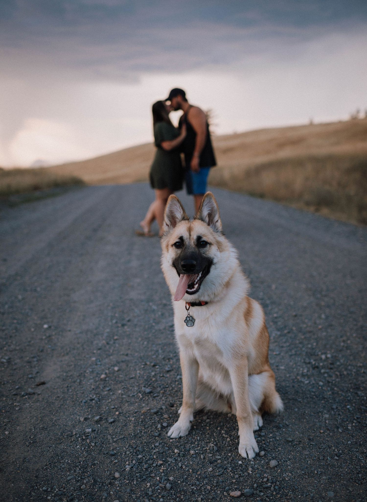 A German Shepherd dog sits and smiles on a dirt road with a couple in the background.