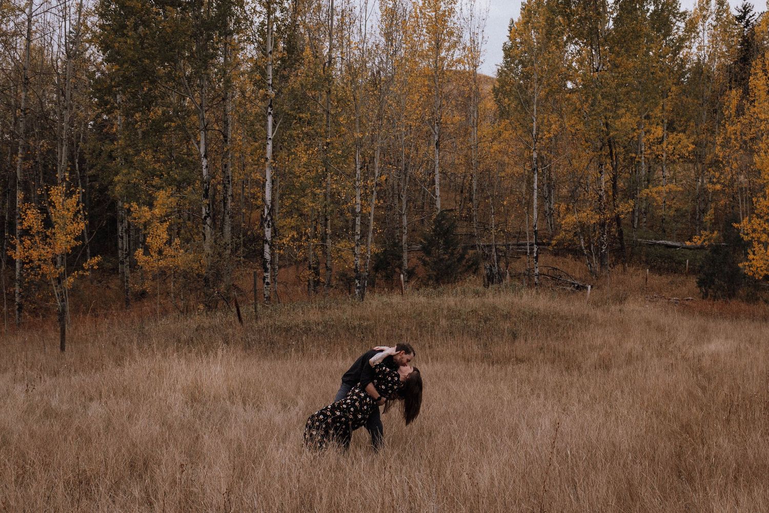 Couple embracing in a golden autumn field surrounded by birch trees with fall foliage in a romantic outdoor setting.