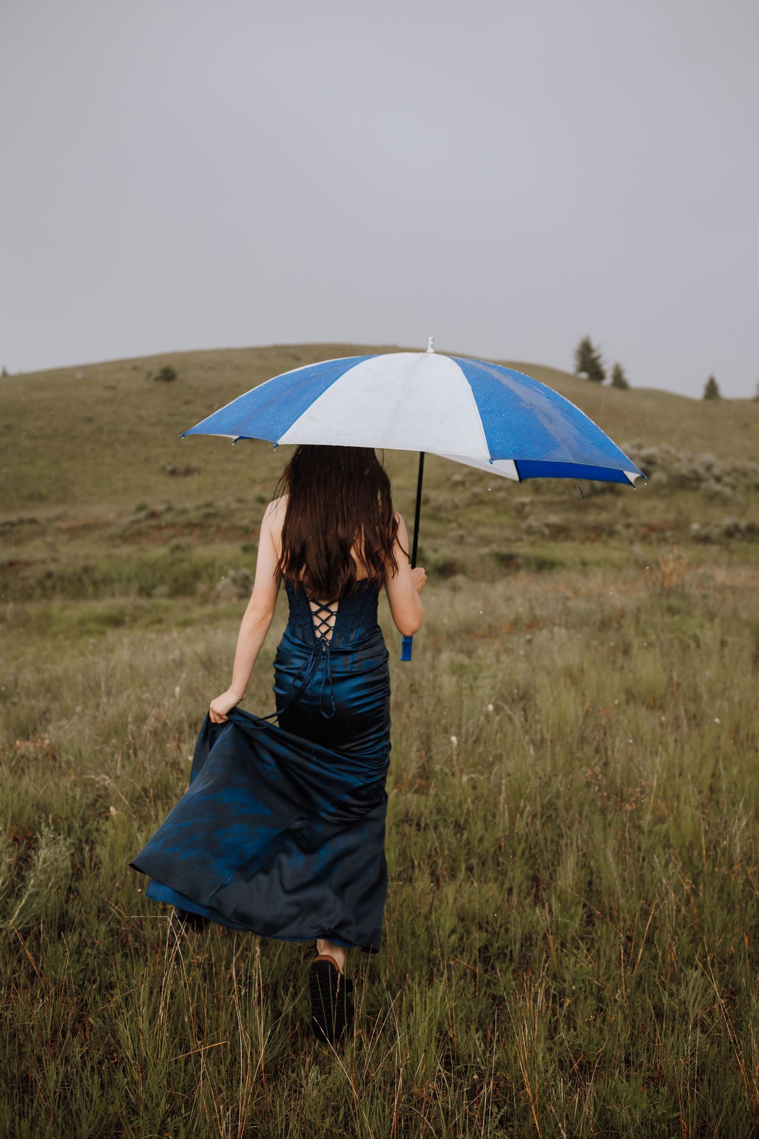A figure holding a blue and white umbrella walks through a misty mountain meadow.