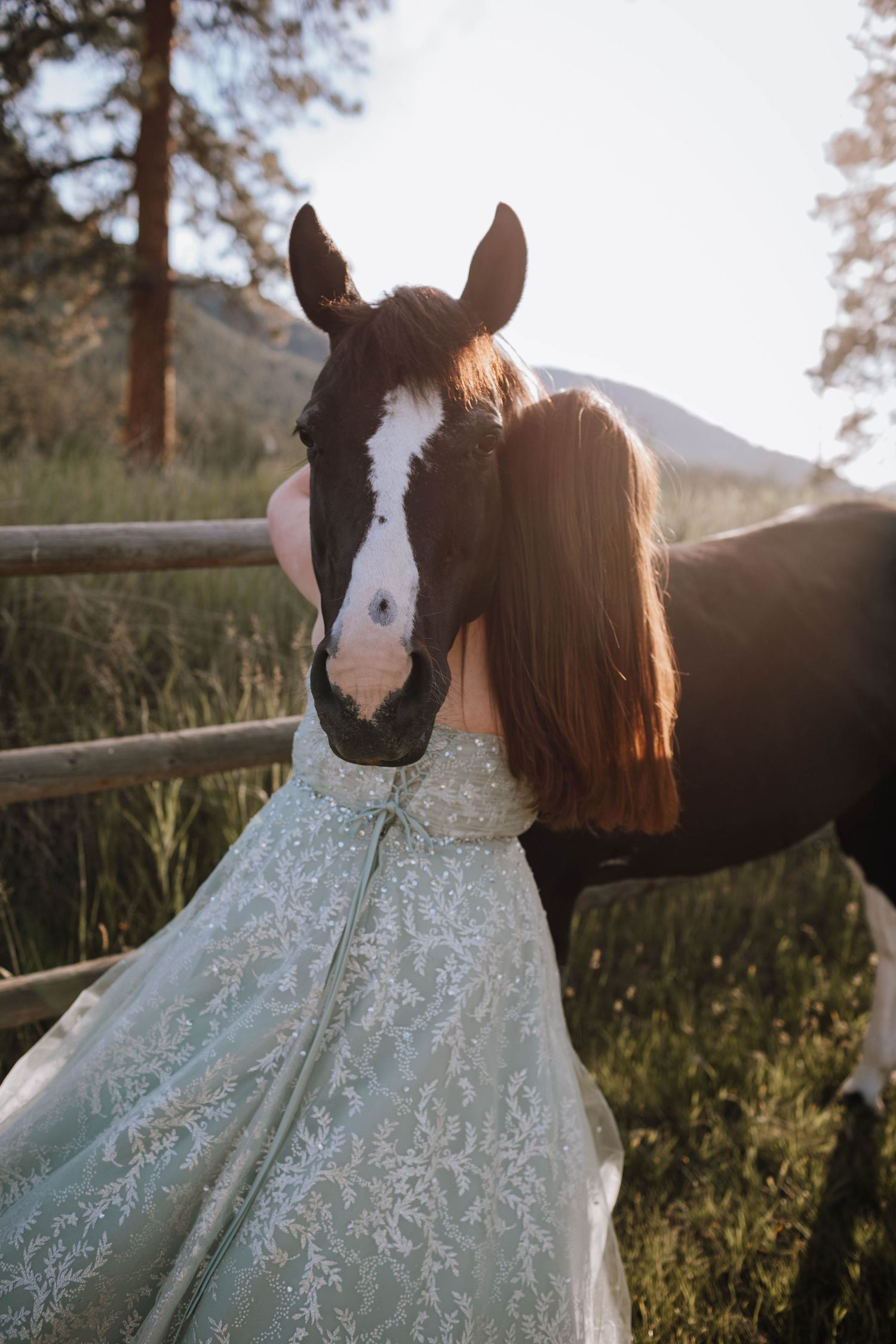 A close-up portrait shows a black and white horse with someone in a white lace dress.